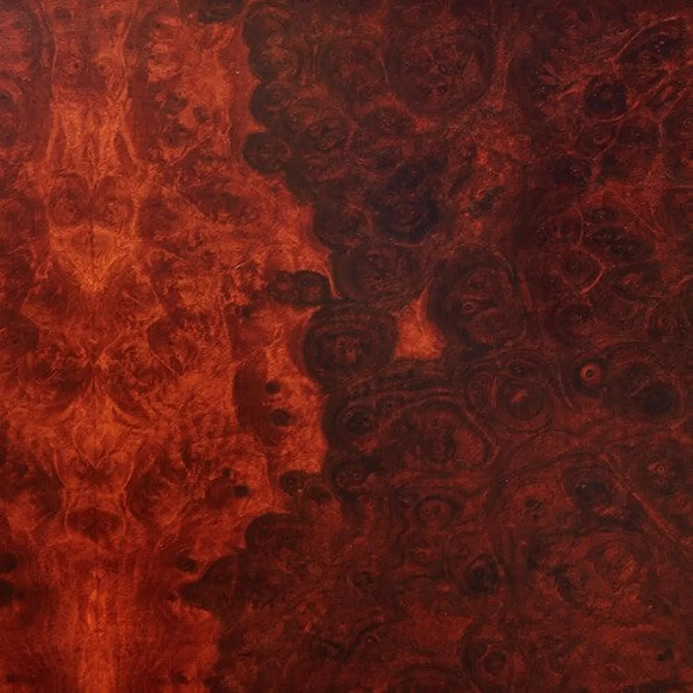 True Widow LP Vinyl - Avvolgere