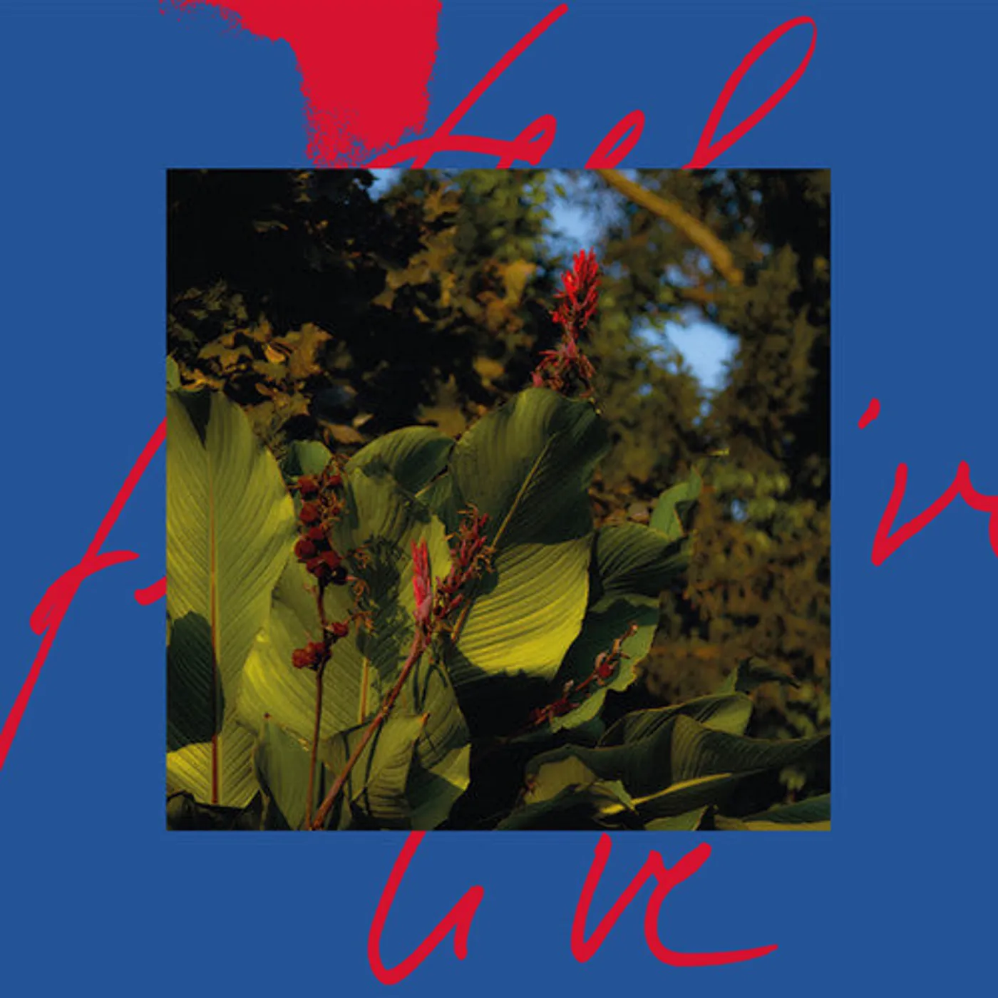 Massimiliano Pagliara LP Vinyl - Feel Live (2Pk)