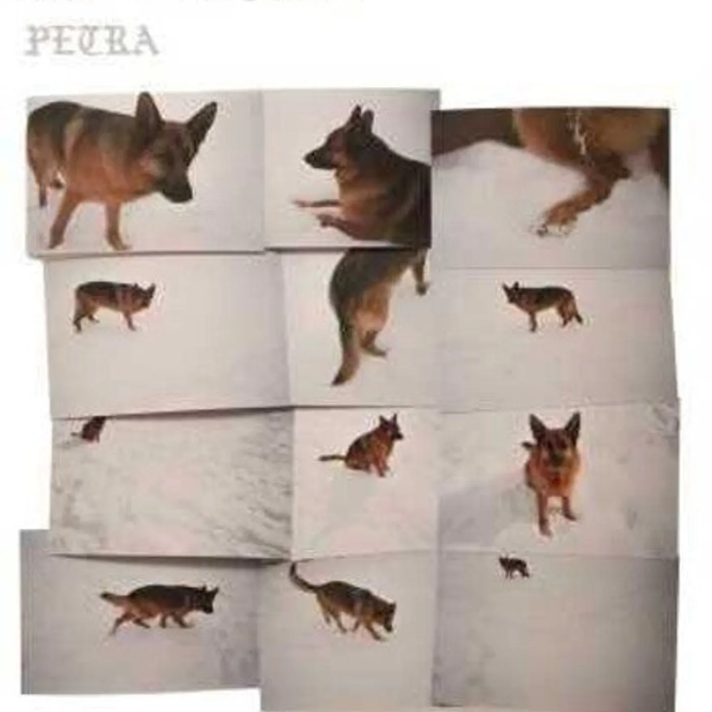 Building LP Vinyl - Petra (Gate Fold)