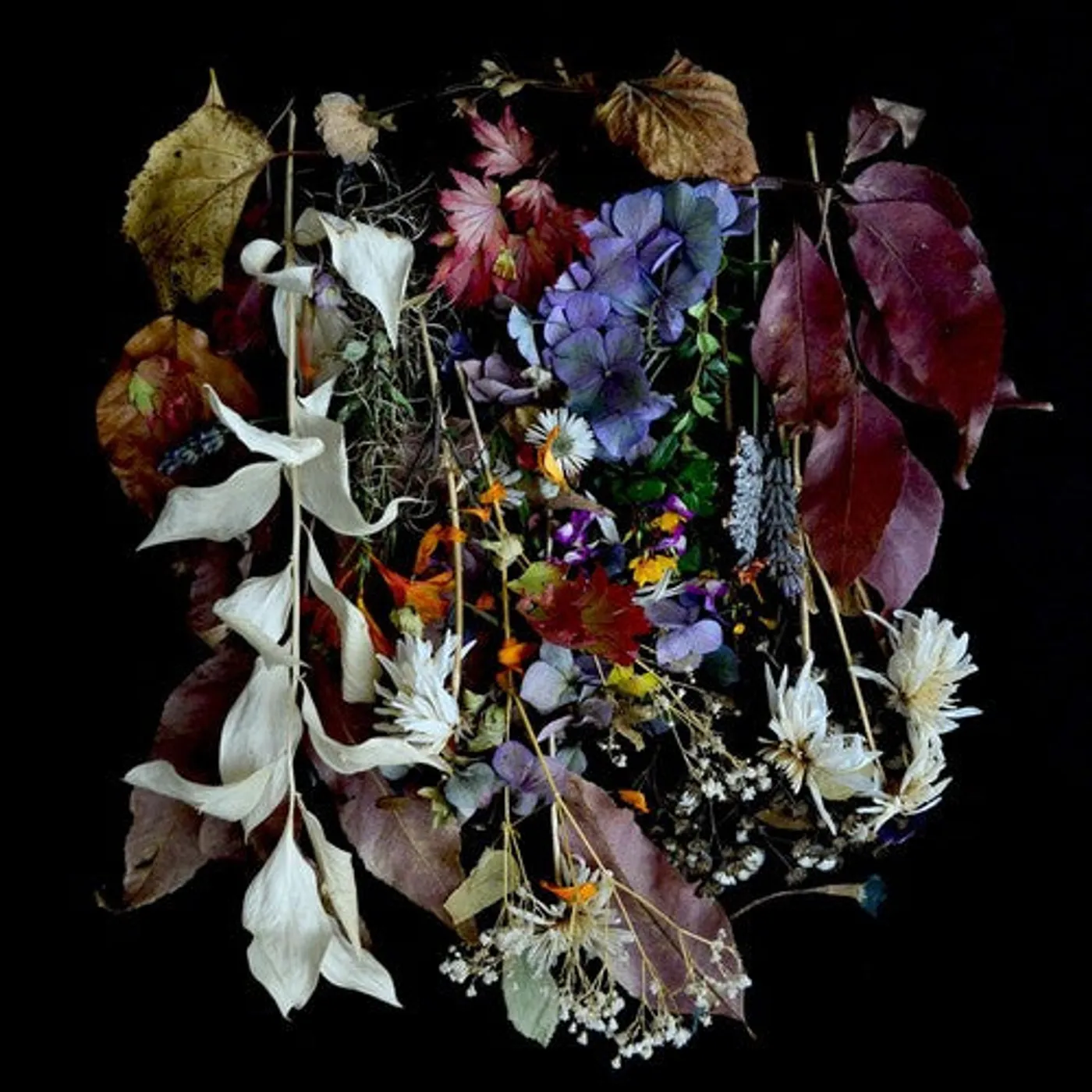 Paws LP Vinyl - Your Church On Bonfire