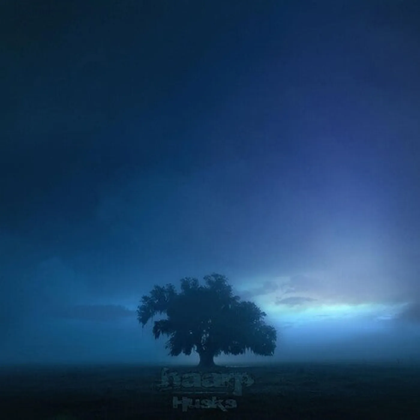 Haarp LP Vinyl - Husks