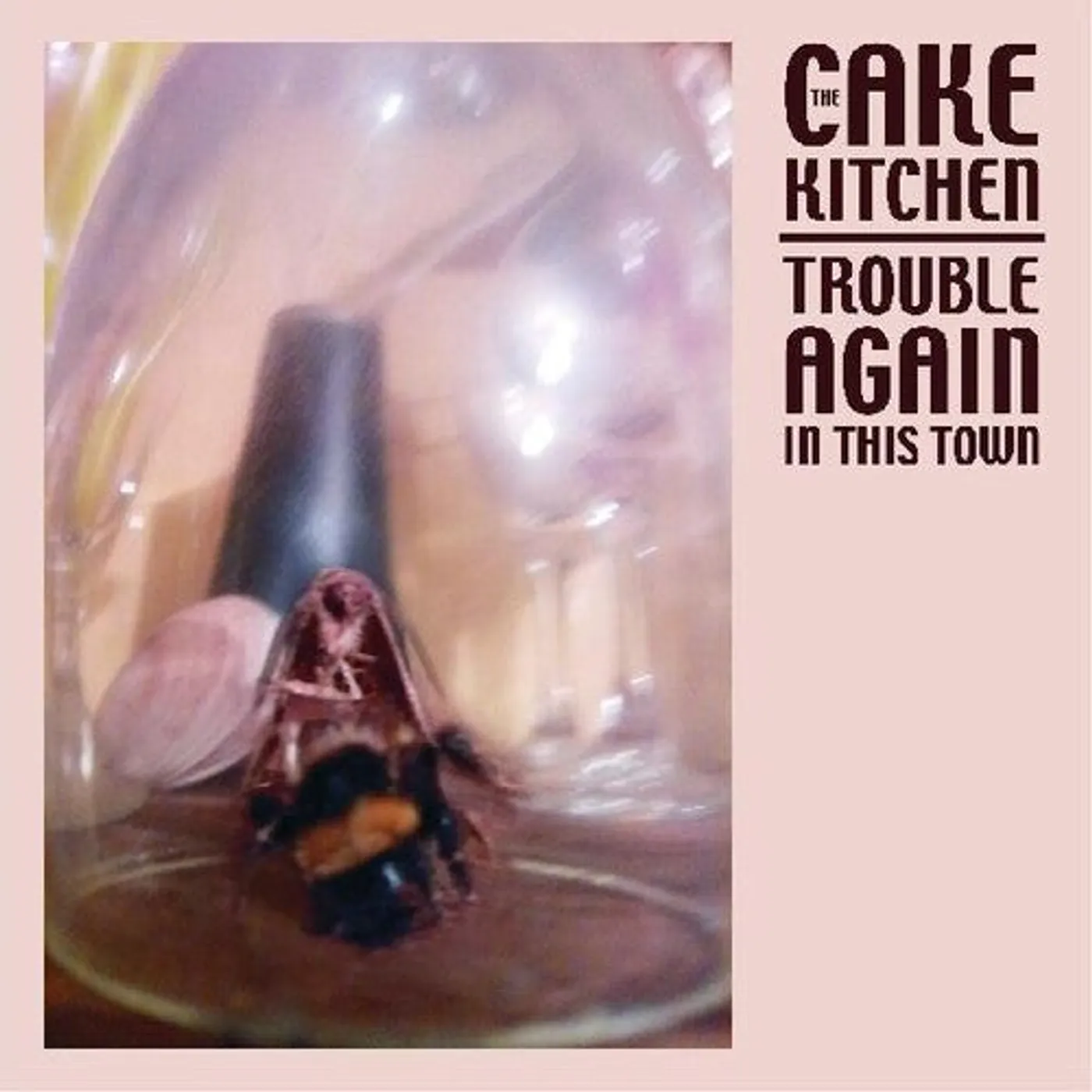 The Cakekitchen LP Vinyl - Trouble Again In This Town (Dli)