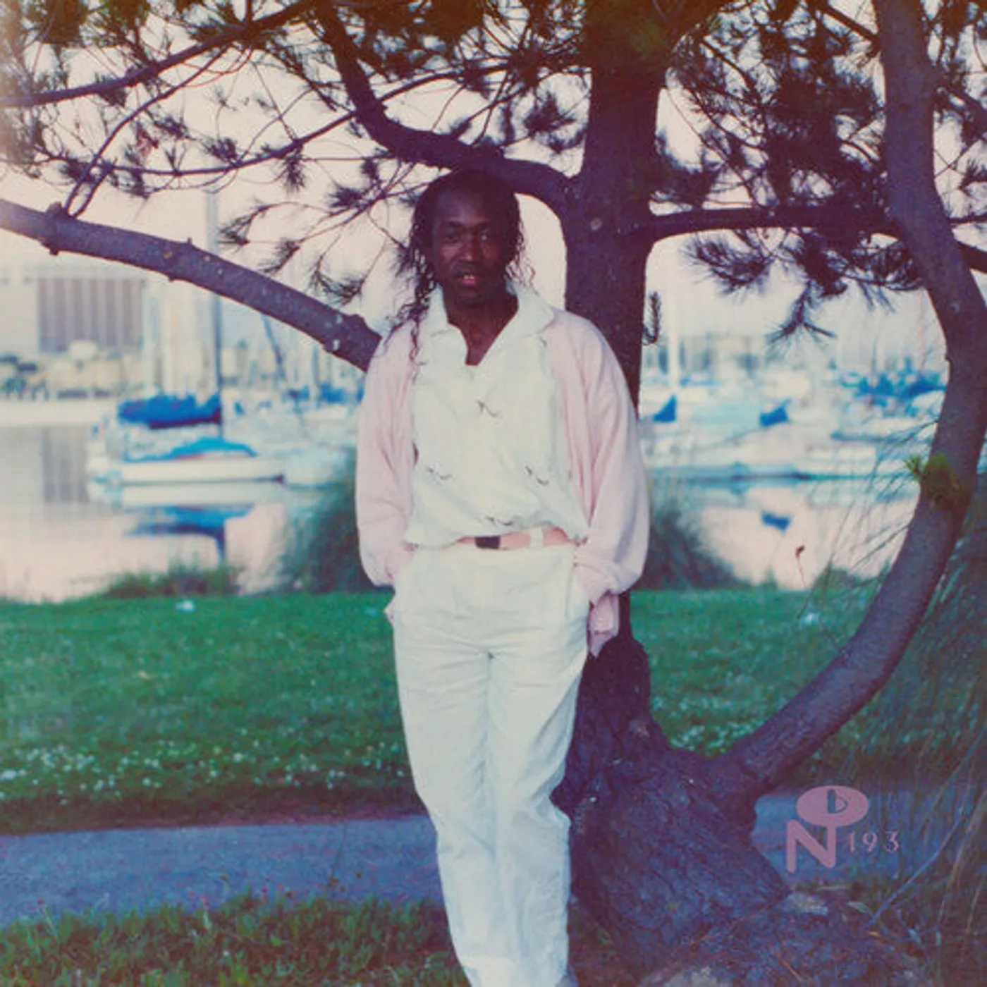 Peter Barclay LP Vinyl - I'M Not Your Toy - Pink (Coloured Vinyl) (Pnk)