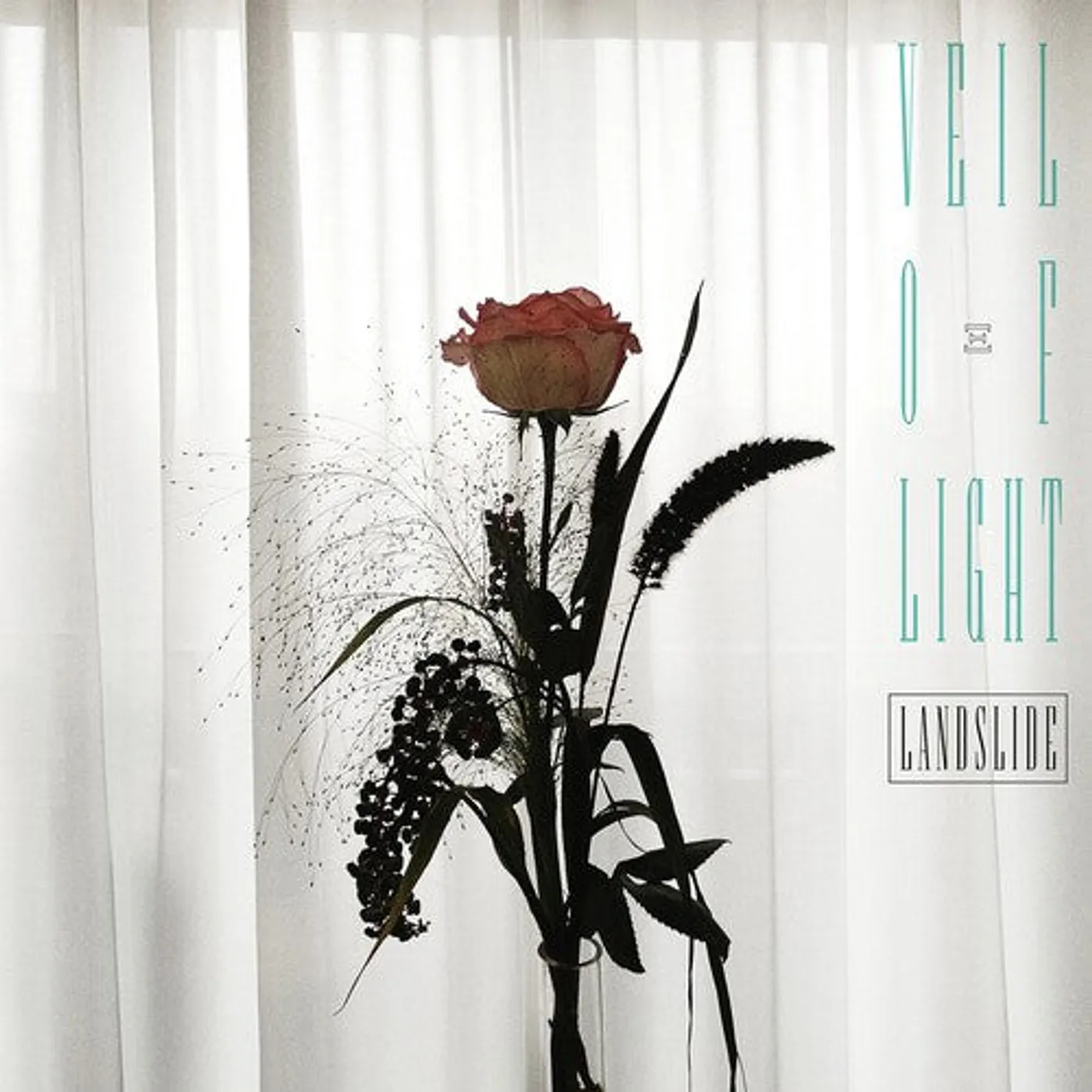 Veil Of Light LP Vinyl - Landslide (Uk)