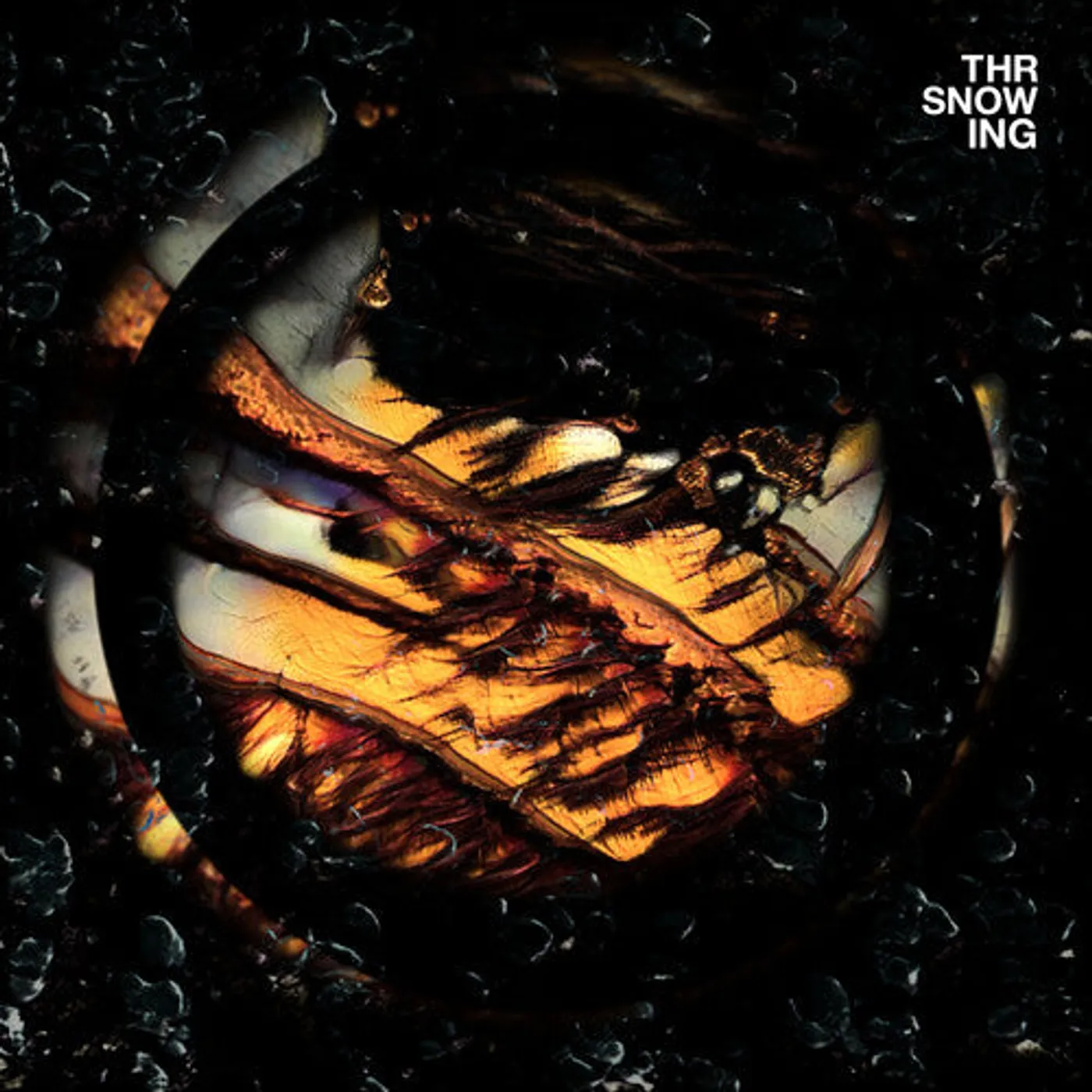 Throwing Snow LP Vinyl - Dragons (Blk) (Coloured Vinyl) (Gate Fold) (Ogv) (Org)