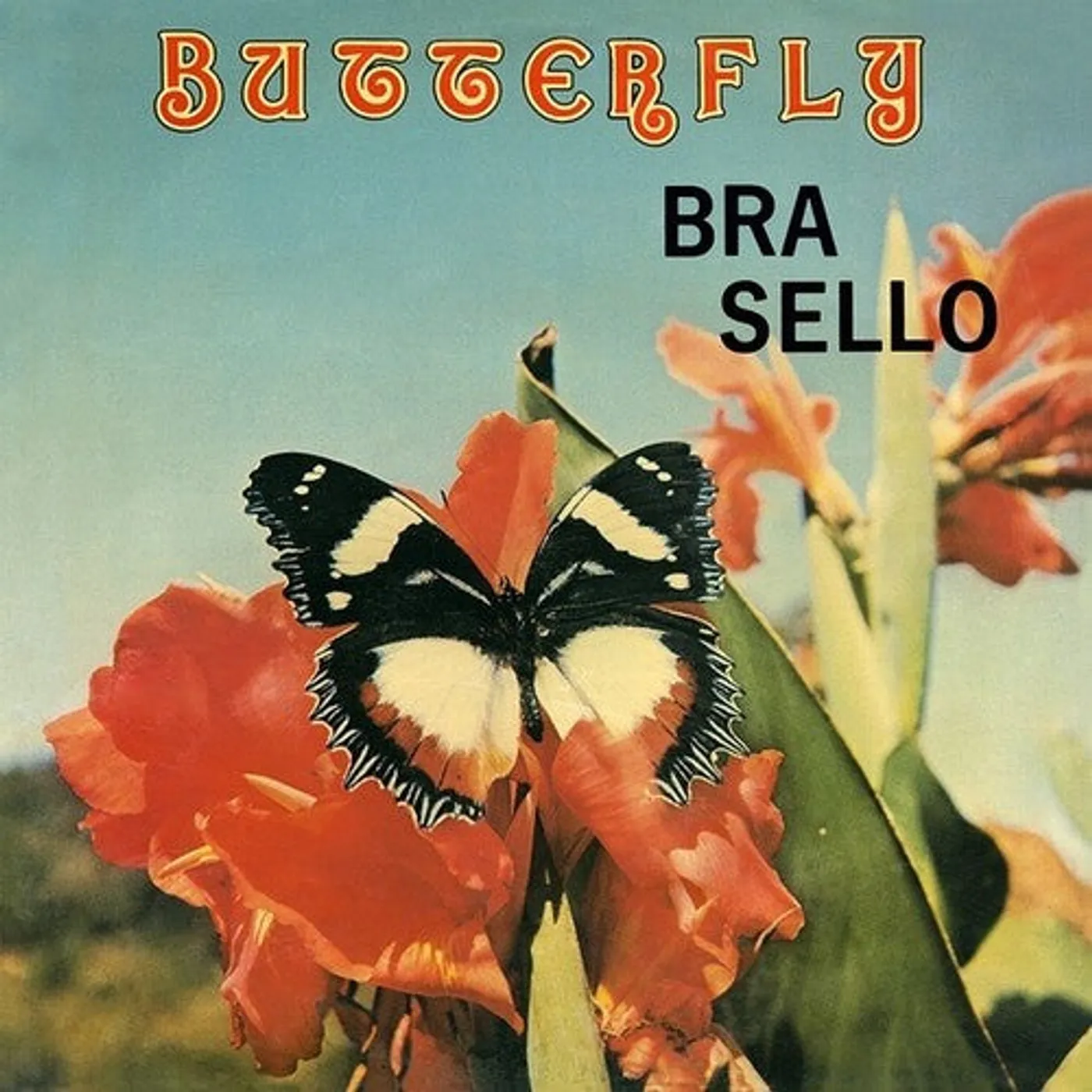 Bra Sello LP Vinyl - Butterfly