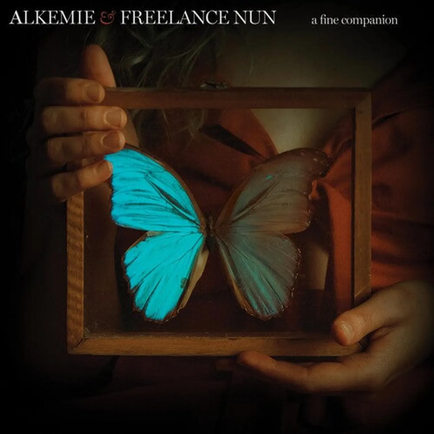 Alkemie LP Vinyl - Fine Companion