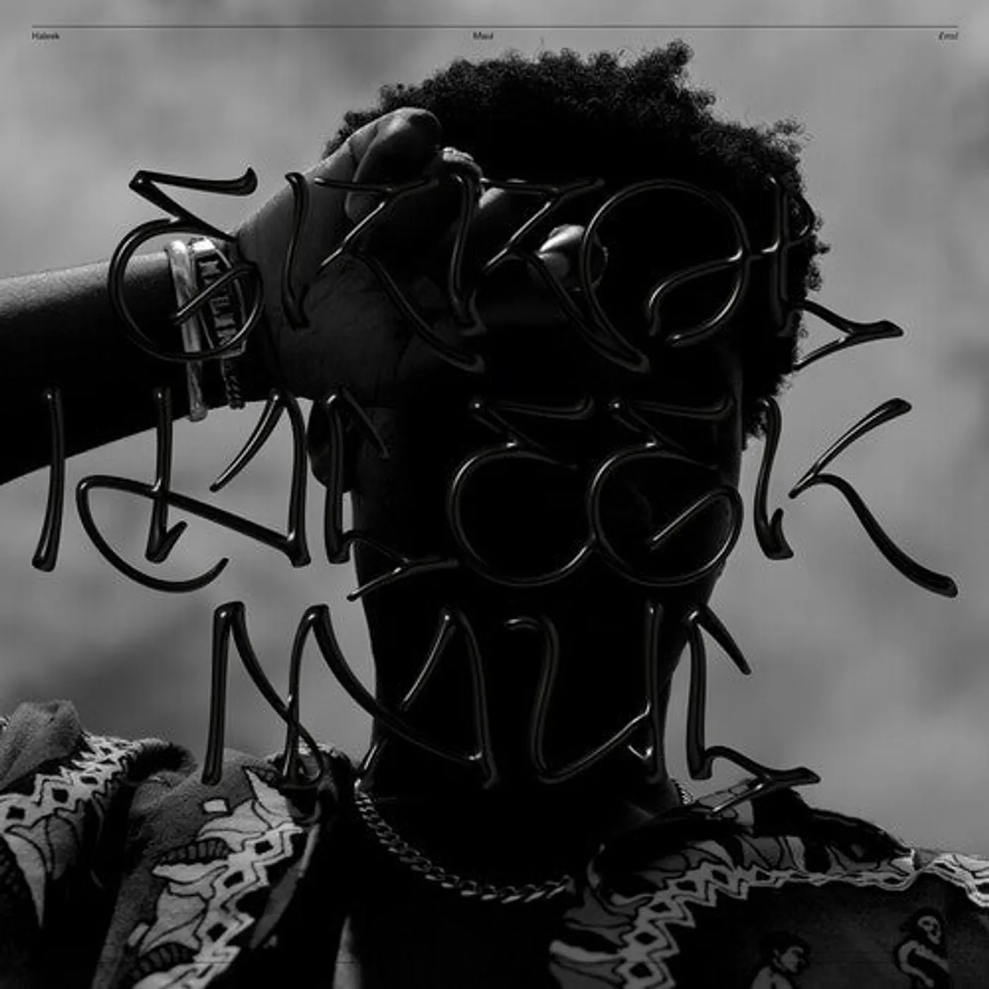 Haleek Maul LP Vinyl - Errol (Slv)