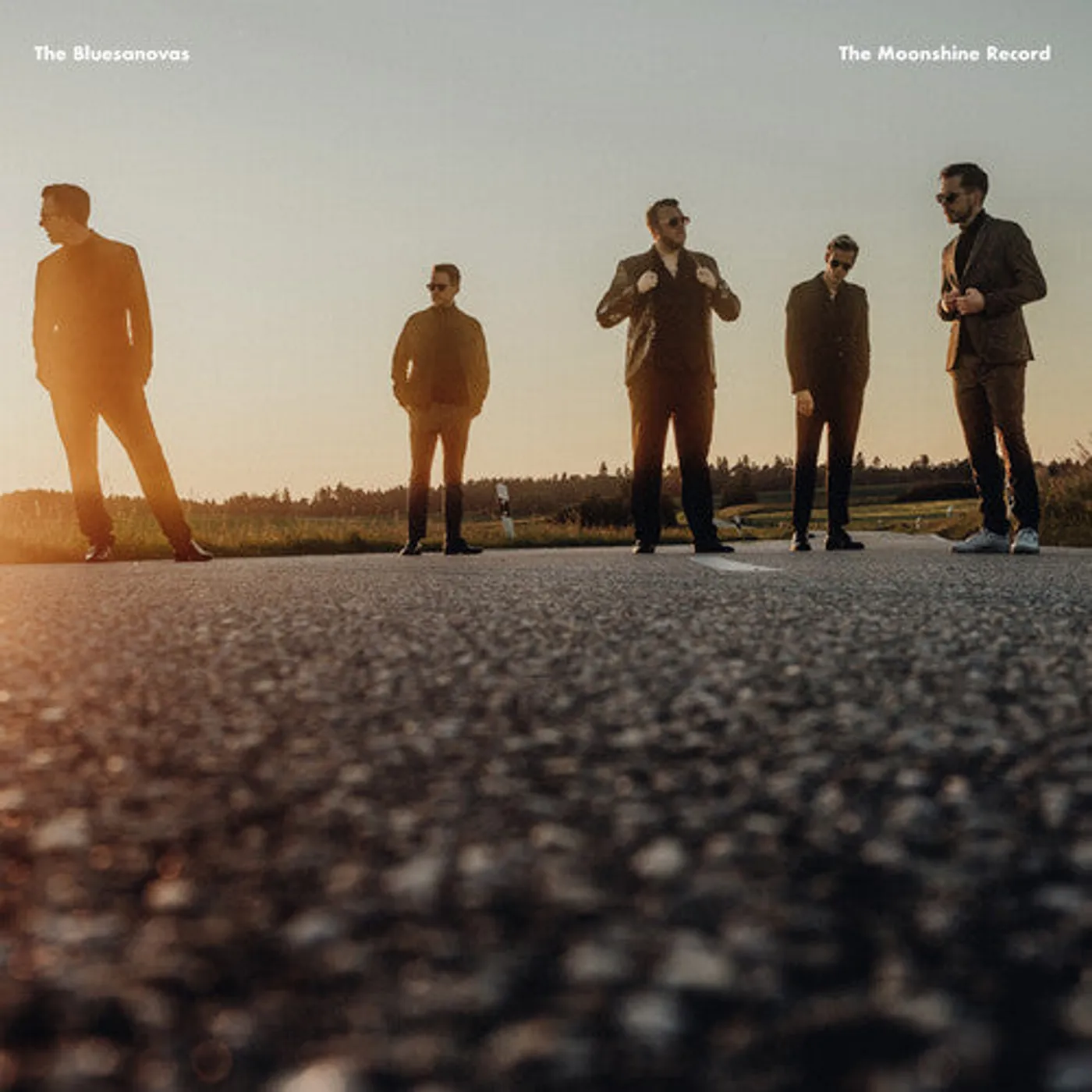 The Bluesanovas LP Vinyl - Moonshine Record (10In)