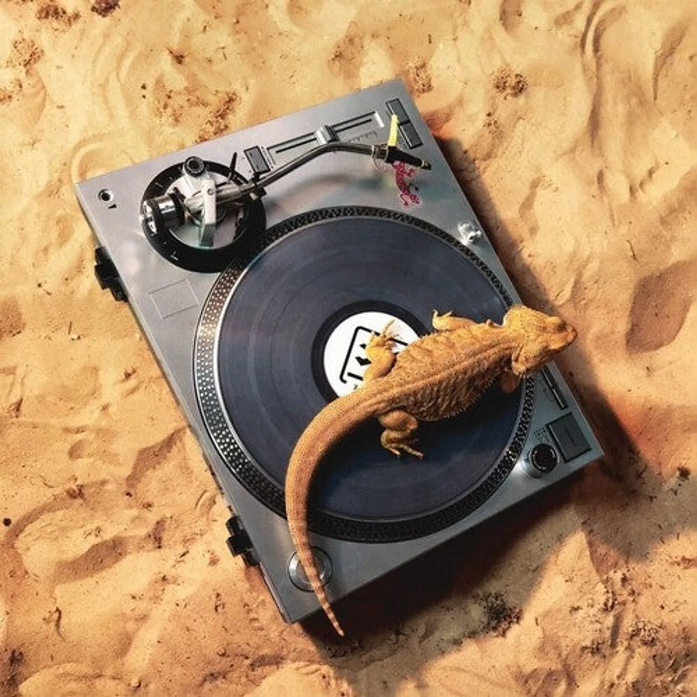 X-Coast LP Vinyl - Riviera Collection