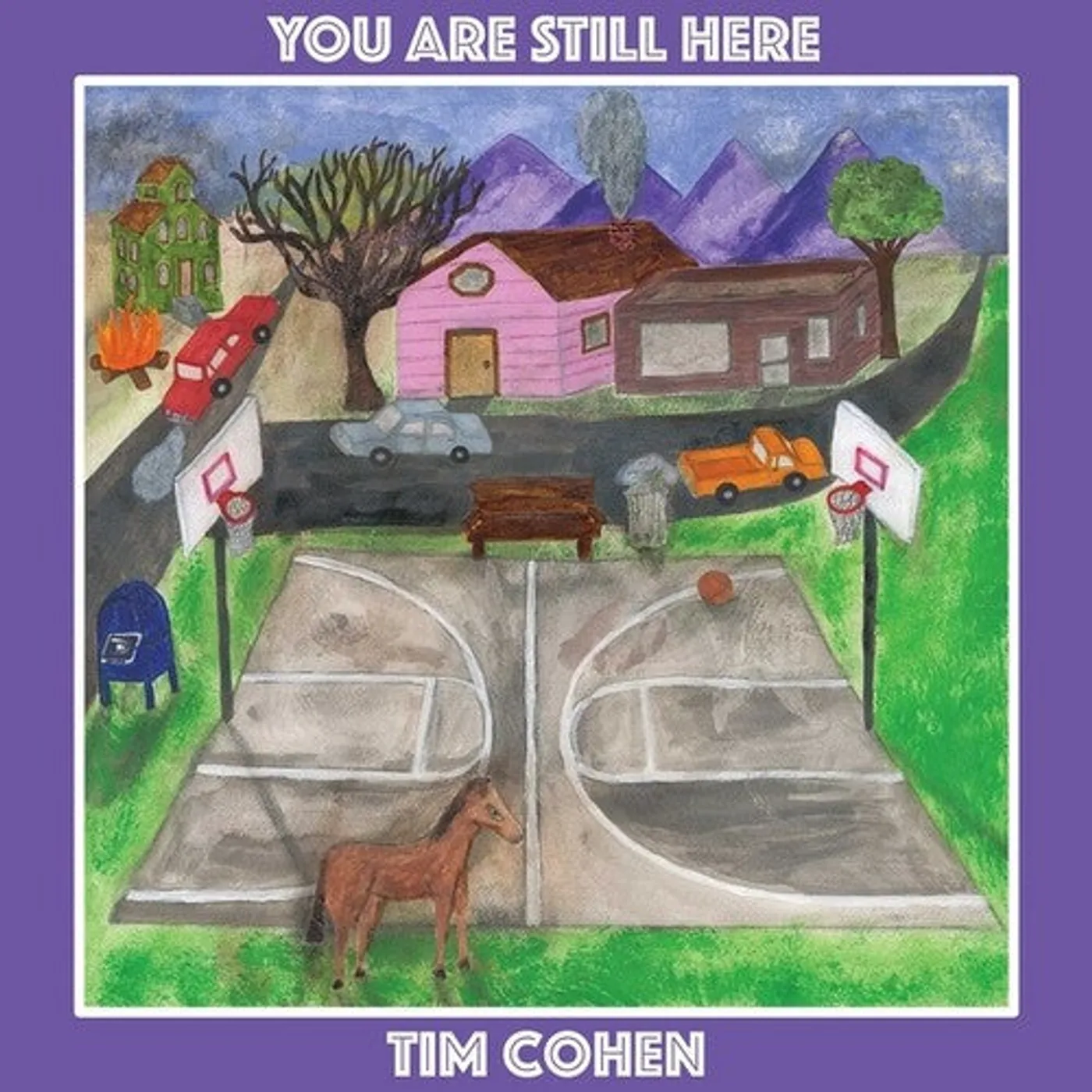 Tim Cohen LP Vinyl - You Are Still Here