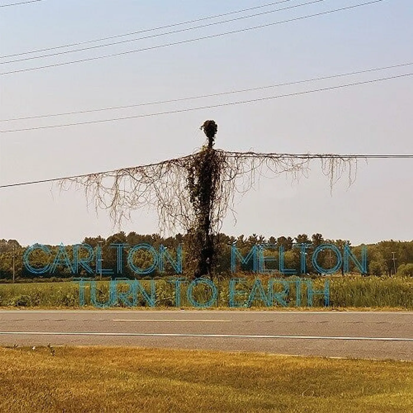 Carlton Melton LP Vinyl - Turn To Earth