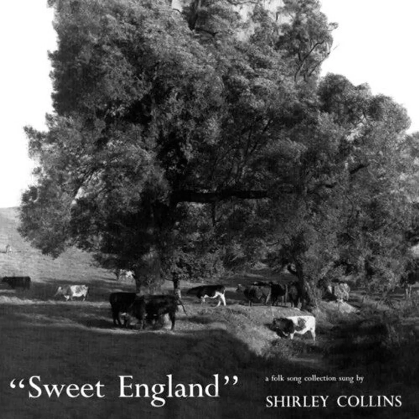 Shirley Collins LP Vinyl - Sweet England