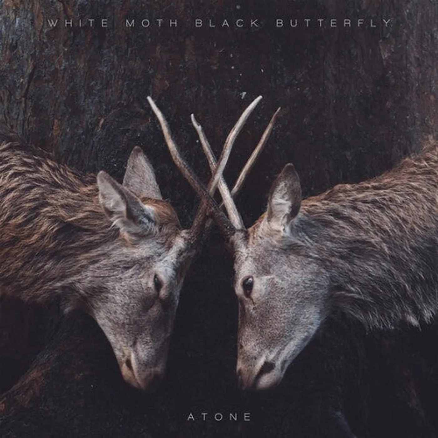 White Moth Black Butterfly LP Vinyl - Atone