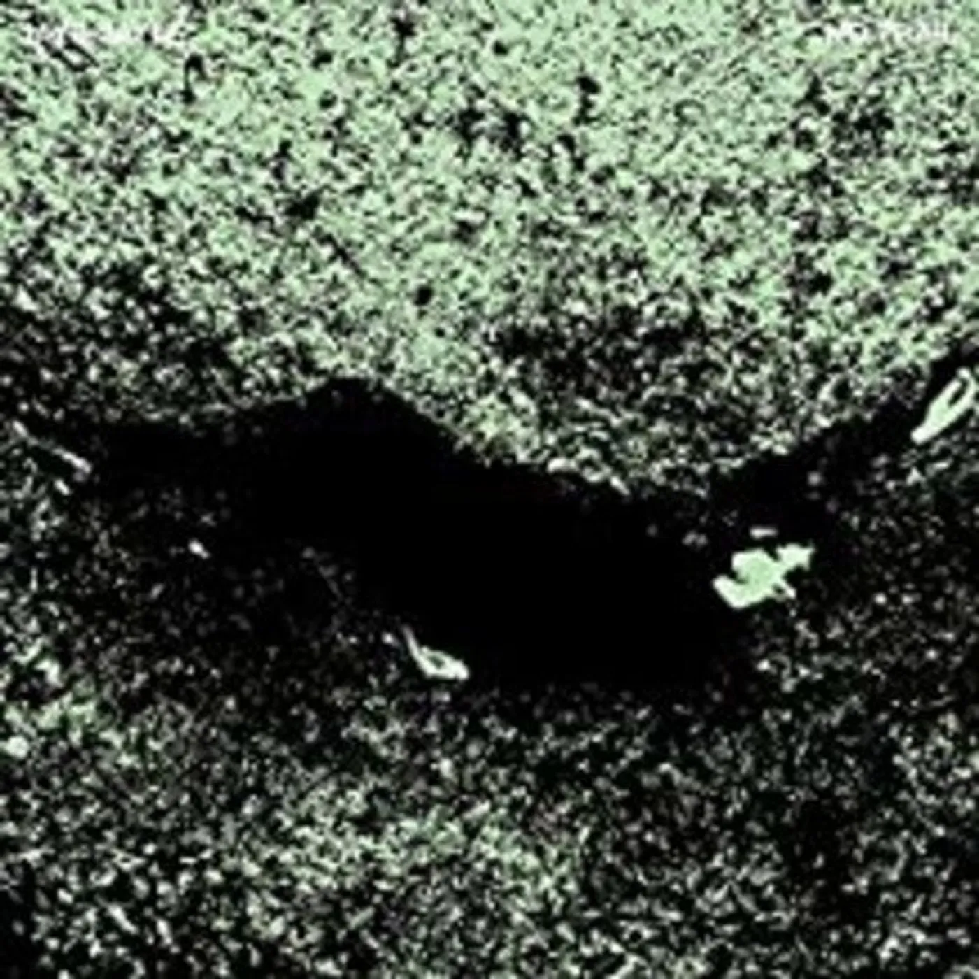 Jaye Jayle LP Vinyl - No Trail & Other Unholy Paths (Dlcd)
