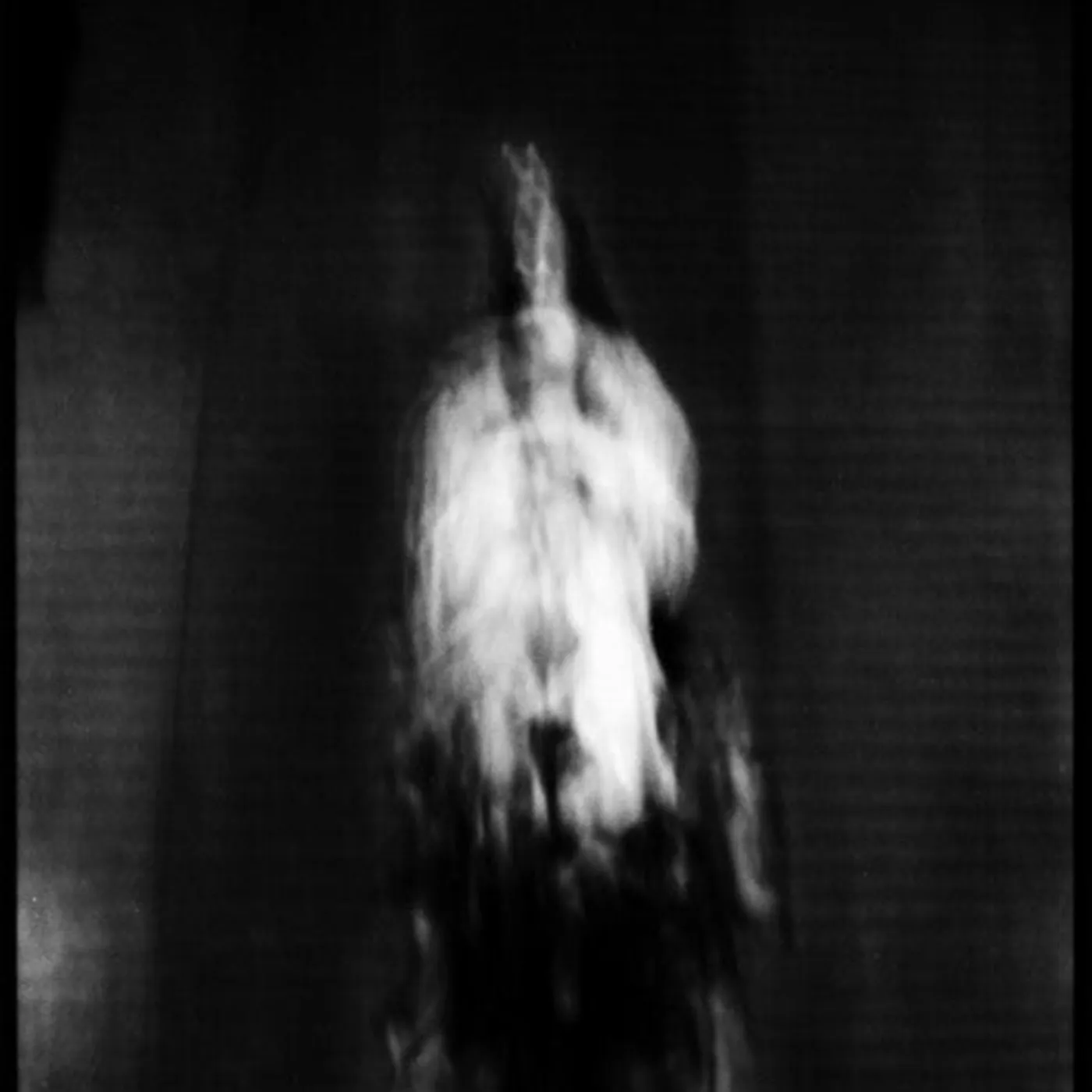 Cigno LP Vinyl - Morte E Pianto Rituale
