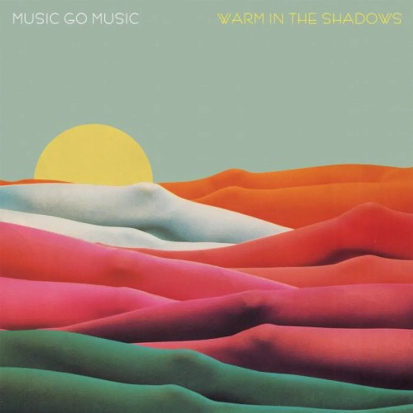 Music Go Music LP Vinyl - Warm In The Shadows