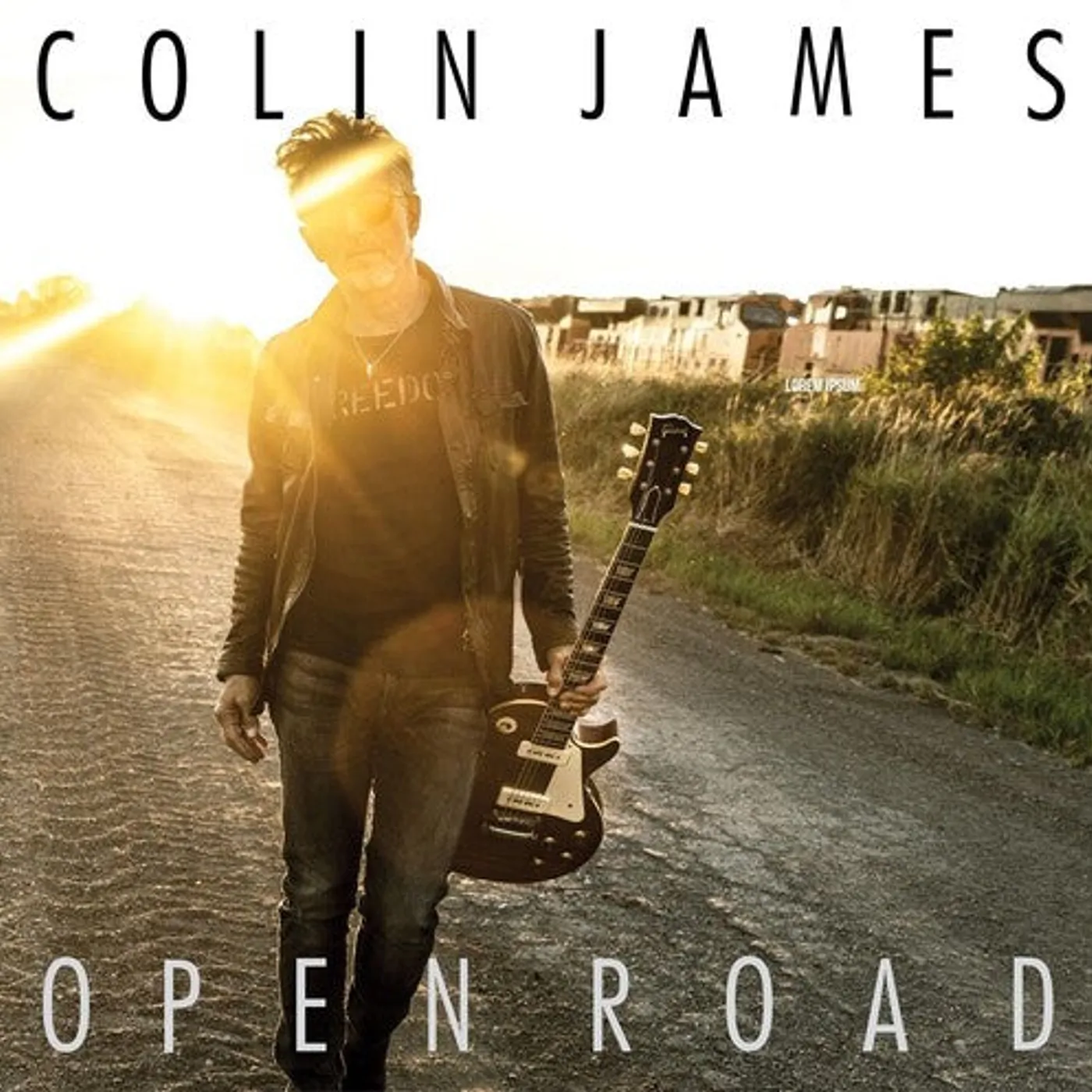 Colin James LP Vinyl - Open Road