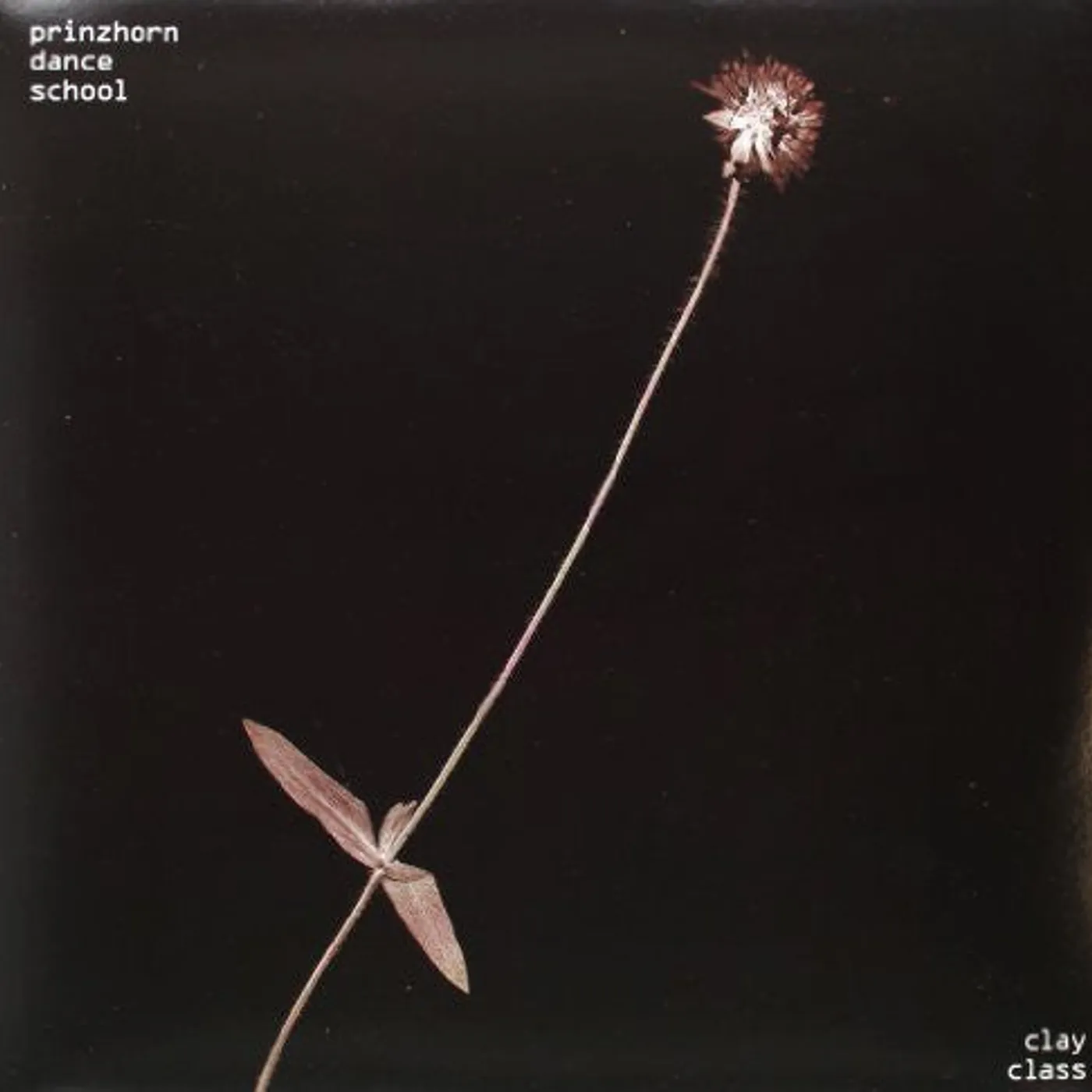 Prinzhorn Dance School LP Vinyl - Clay Class