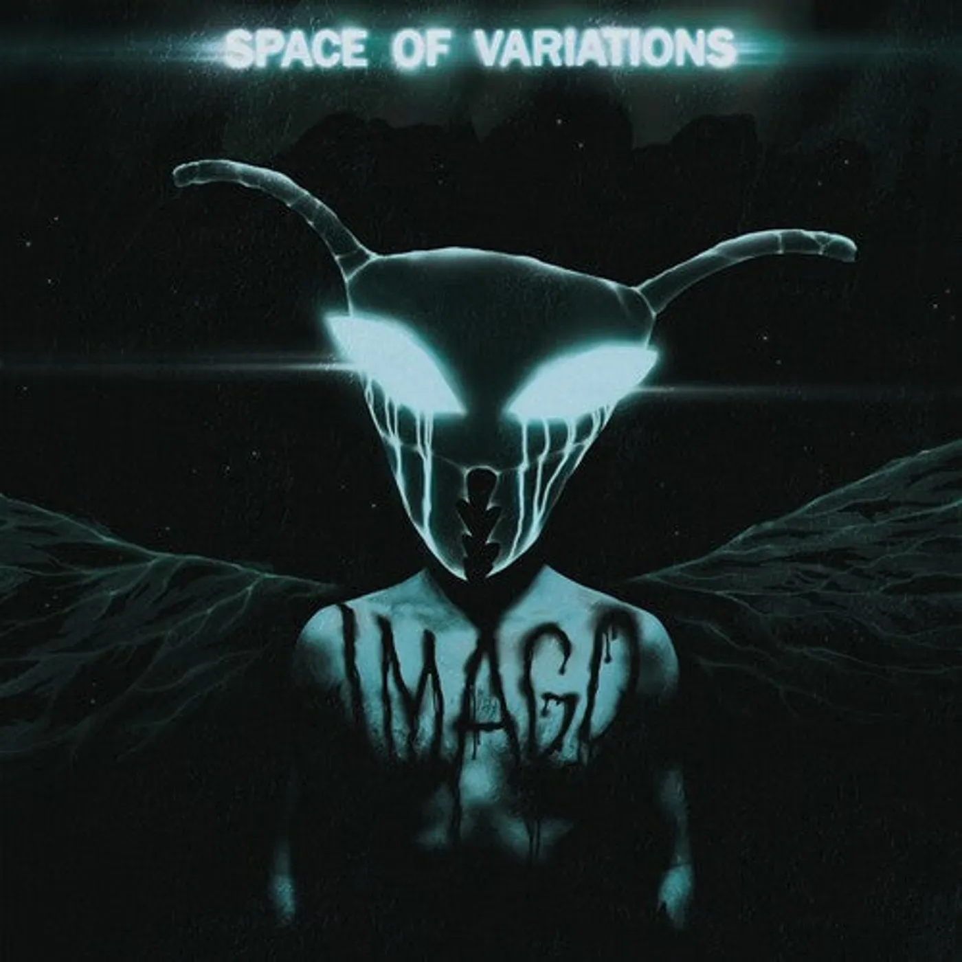 Space Of Variations LP Vinyl - Imago