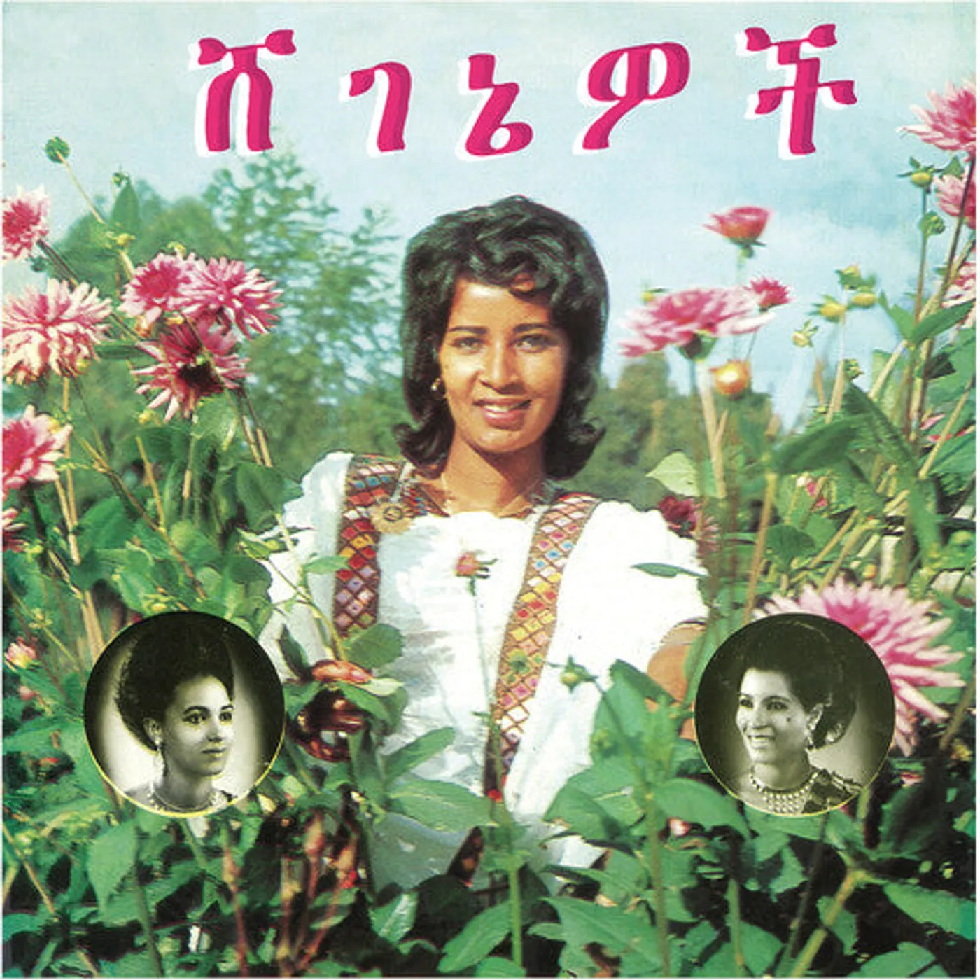 Aselefech Ashine LP Vinyl - Beauties