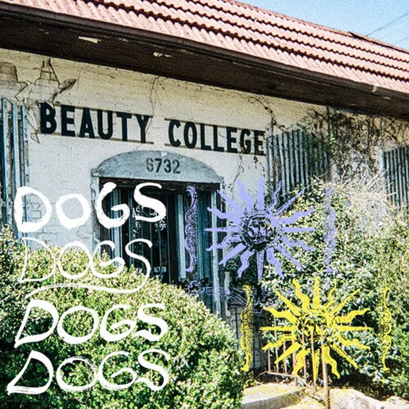 Cash Langdon LP Vinyl - Dogs (Coloured Vinyl) (Ylw)