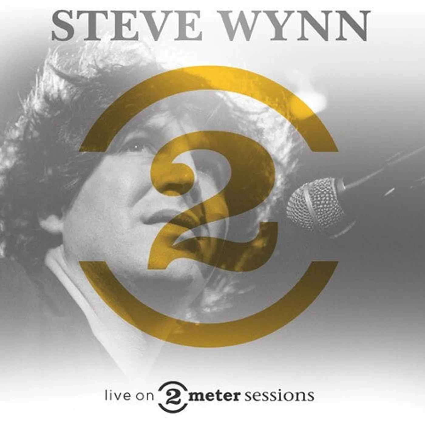 Steve Wynn LP Vinyl - Live On 2 Meter Sessions (Hol)
