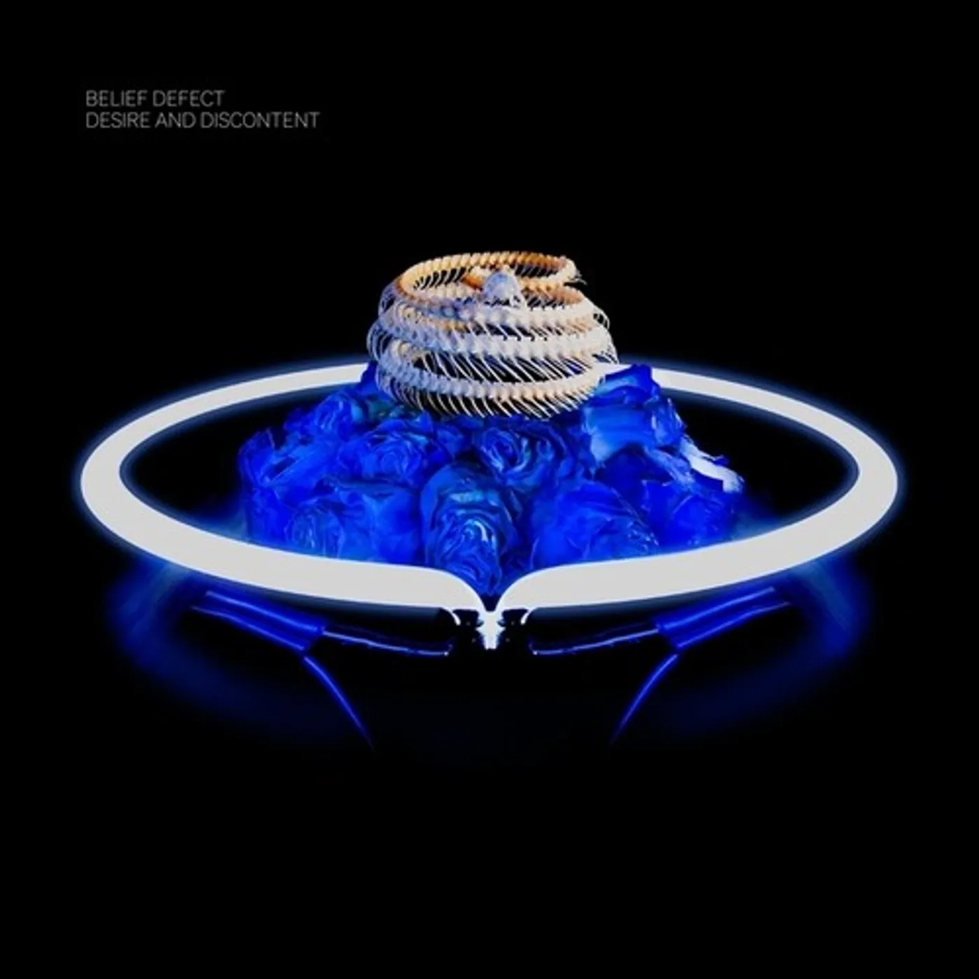 Belief Defect LP Vinyl - Desire & Discontent