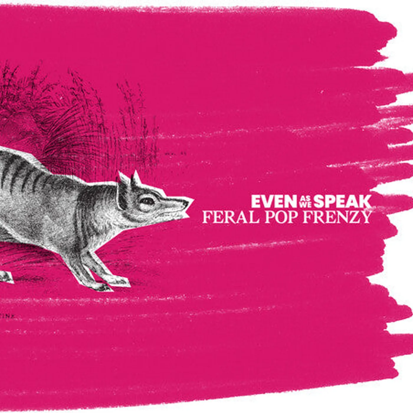 Even As We Speak LP Vinyl - Feral Pop Frenzy (25Th Remastered Edition) (Rmst)