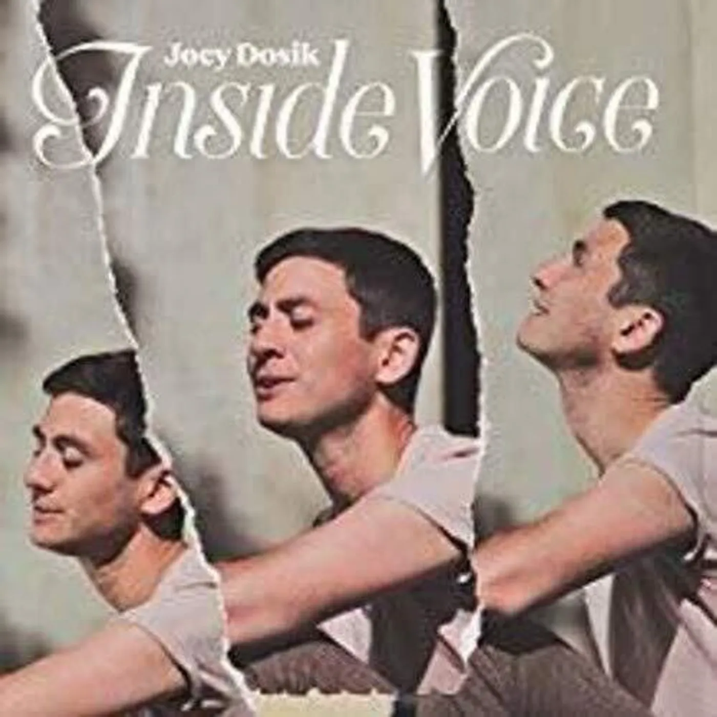Joey Dosik LP Vinyl - Inside Voice