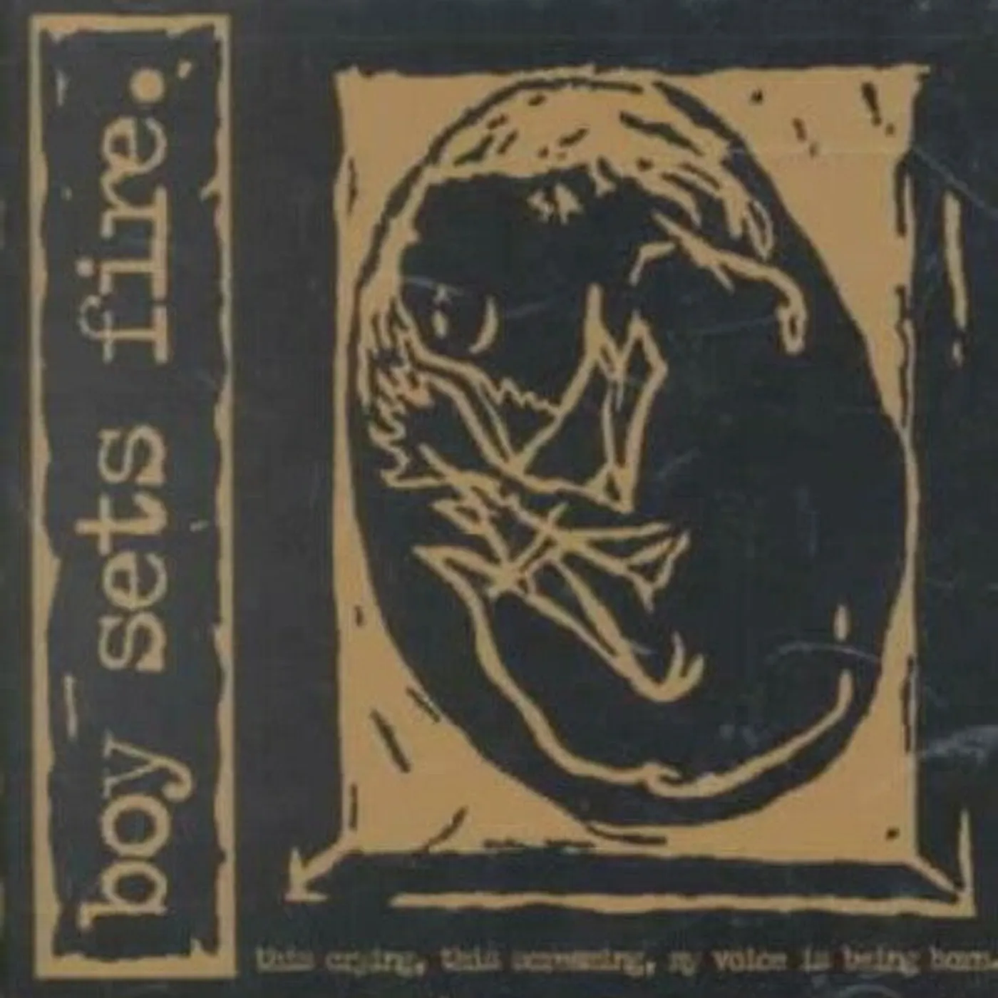 Boysetsfire LP Vinyl - This Crying This Screaming My Voice Is Being Born