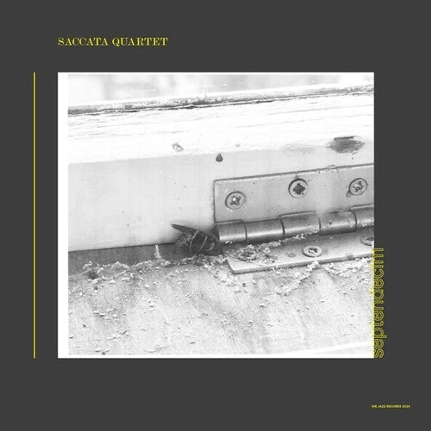 Saccata Quartet LP Vinyl - Septendecim