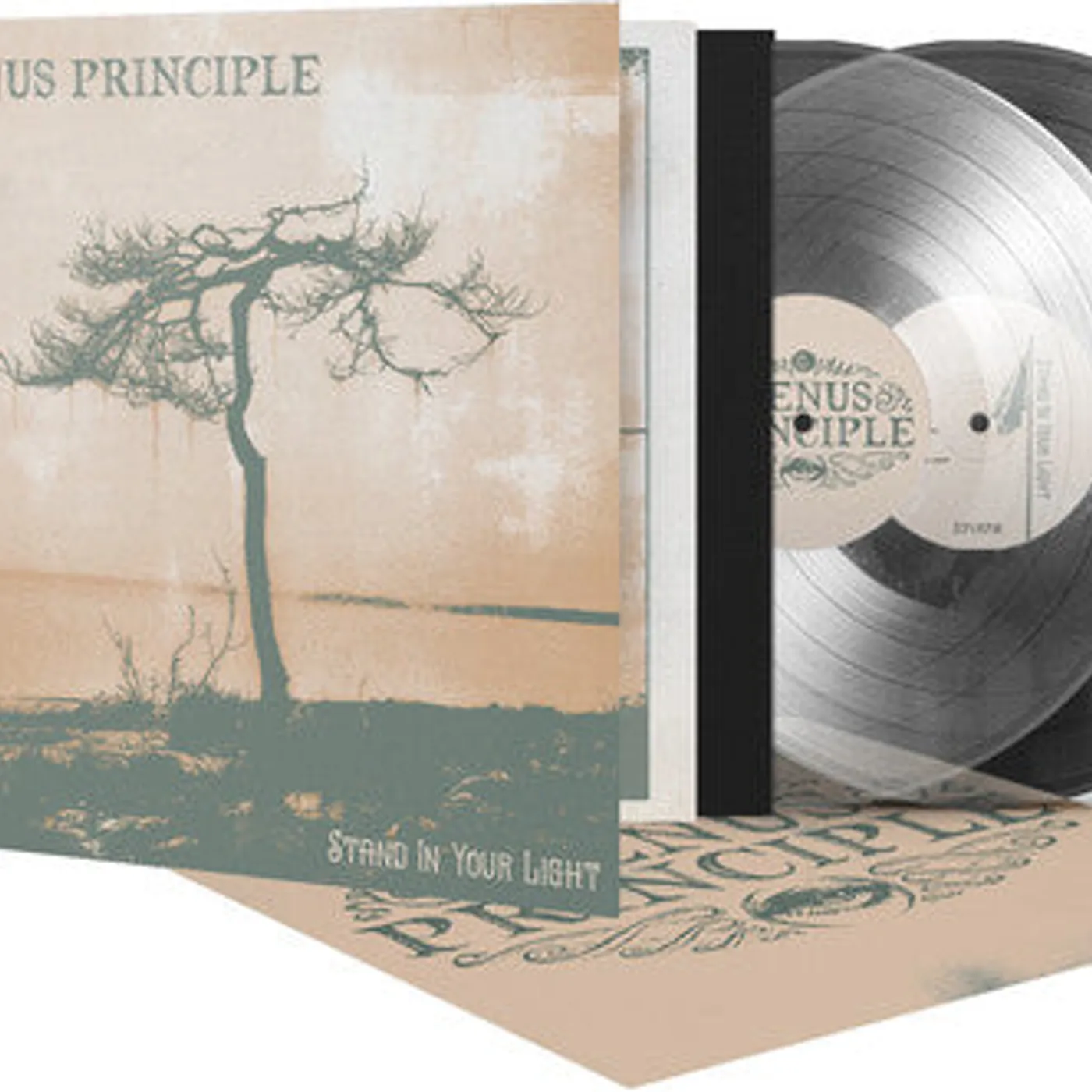 Venus Principle LP Vinyl - Stand In Your Light (Crystal Clear) (Coloured Vinyl) (Cvnl)