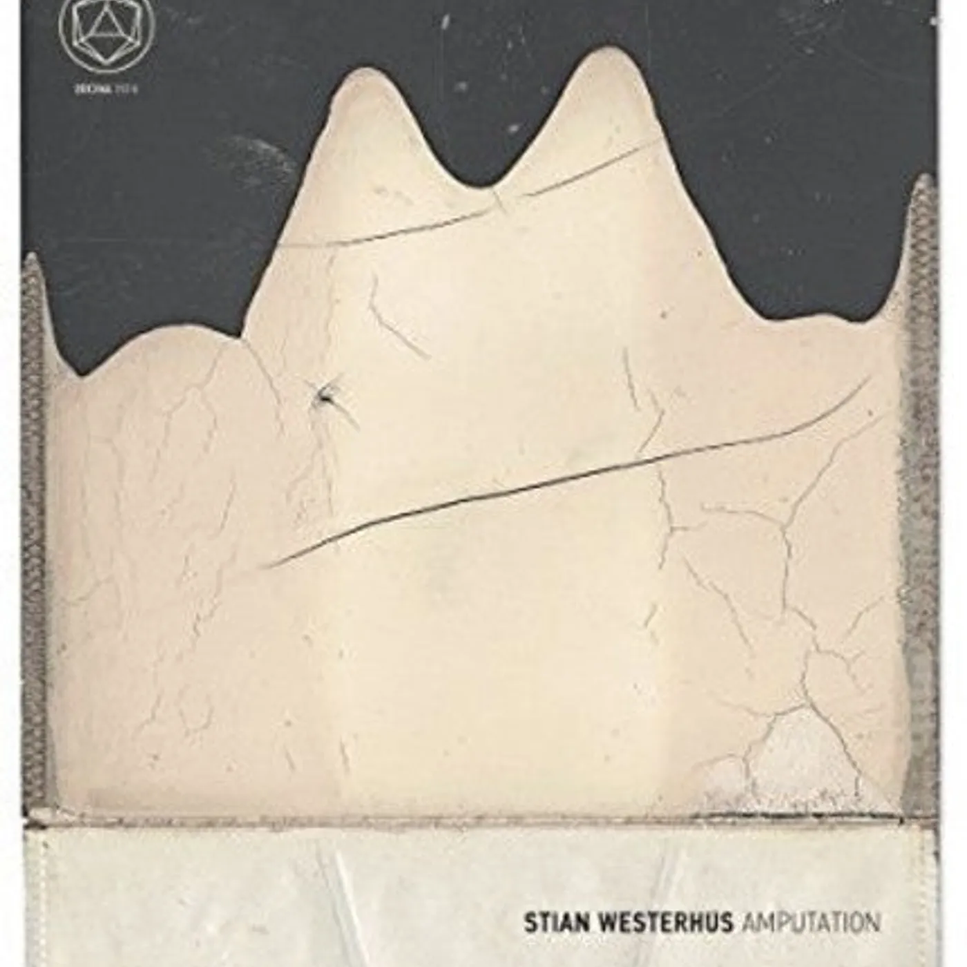 Stian Westerhus LP Vinyl - Amputation