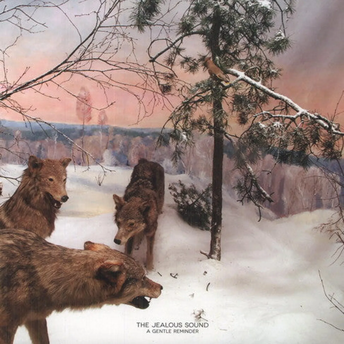 The Jealous Sound LP Vinyl - Gentle Reminder