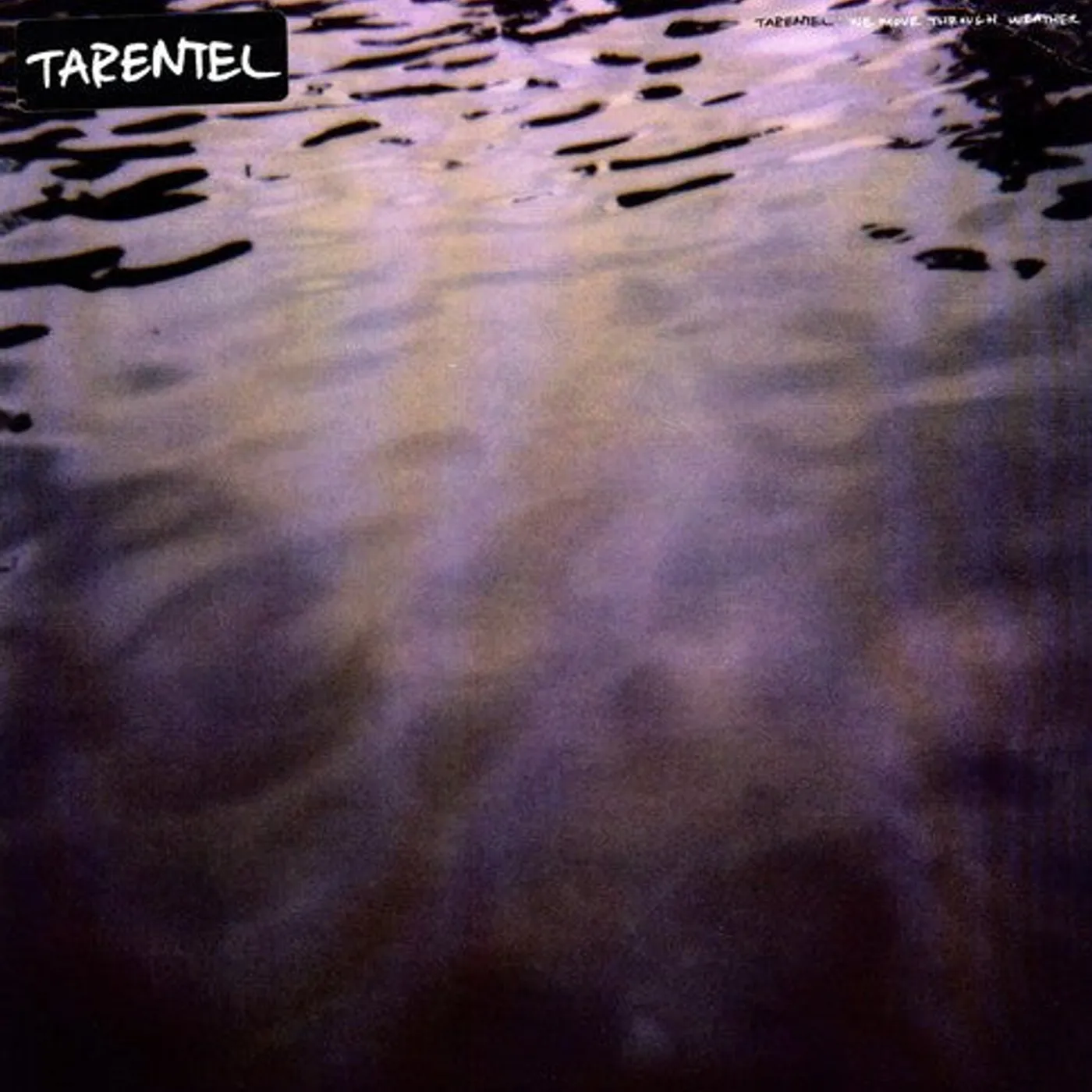 Tarentel LP Vinyl - We Move Through Weather