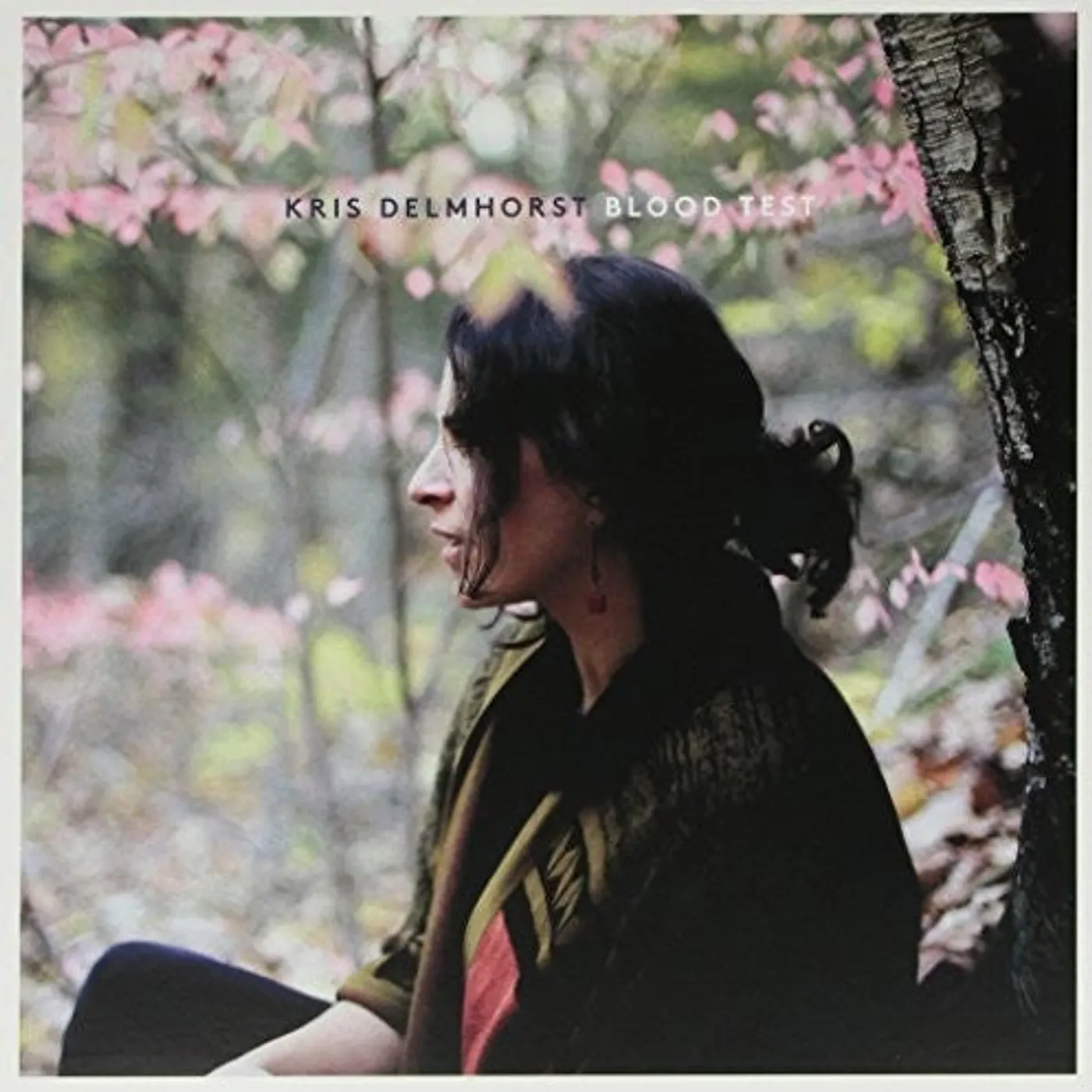 Kris Delmhorst LP Vinyl - Blood Test (Dlcd)