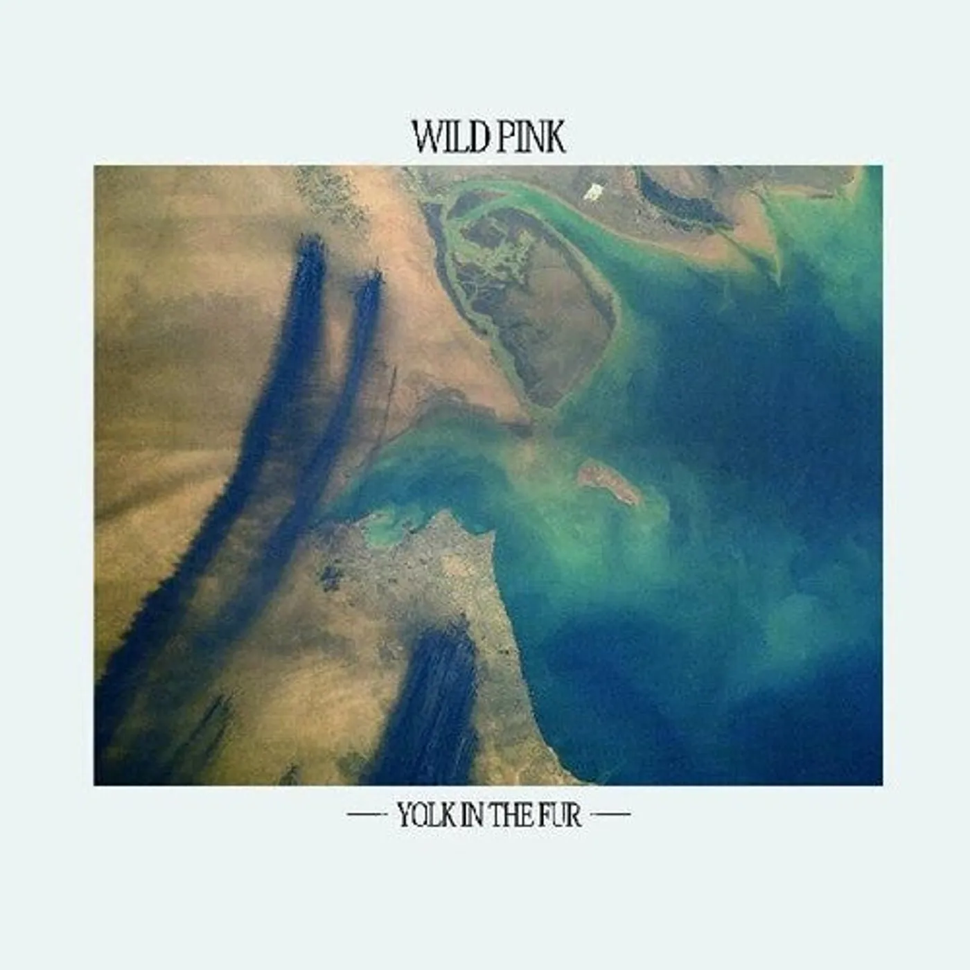 Wild Pink LP Vinyl - Yolk In The Fur (Coloured Vinyl) (Teal)