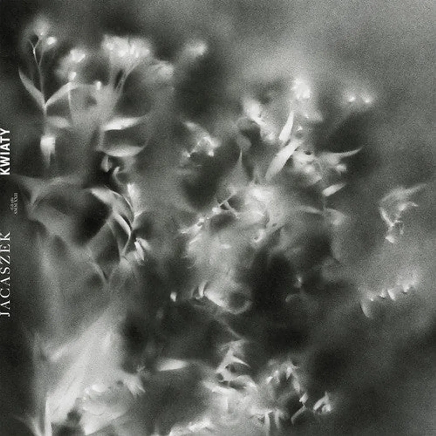 Jacaszek LP Vinyl - Kwiaty