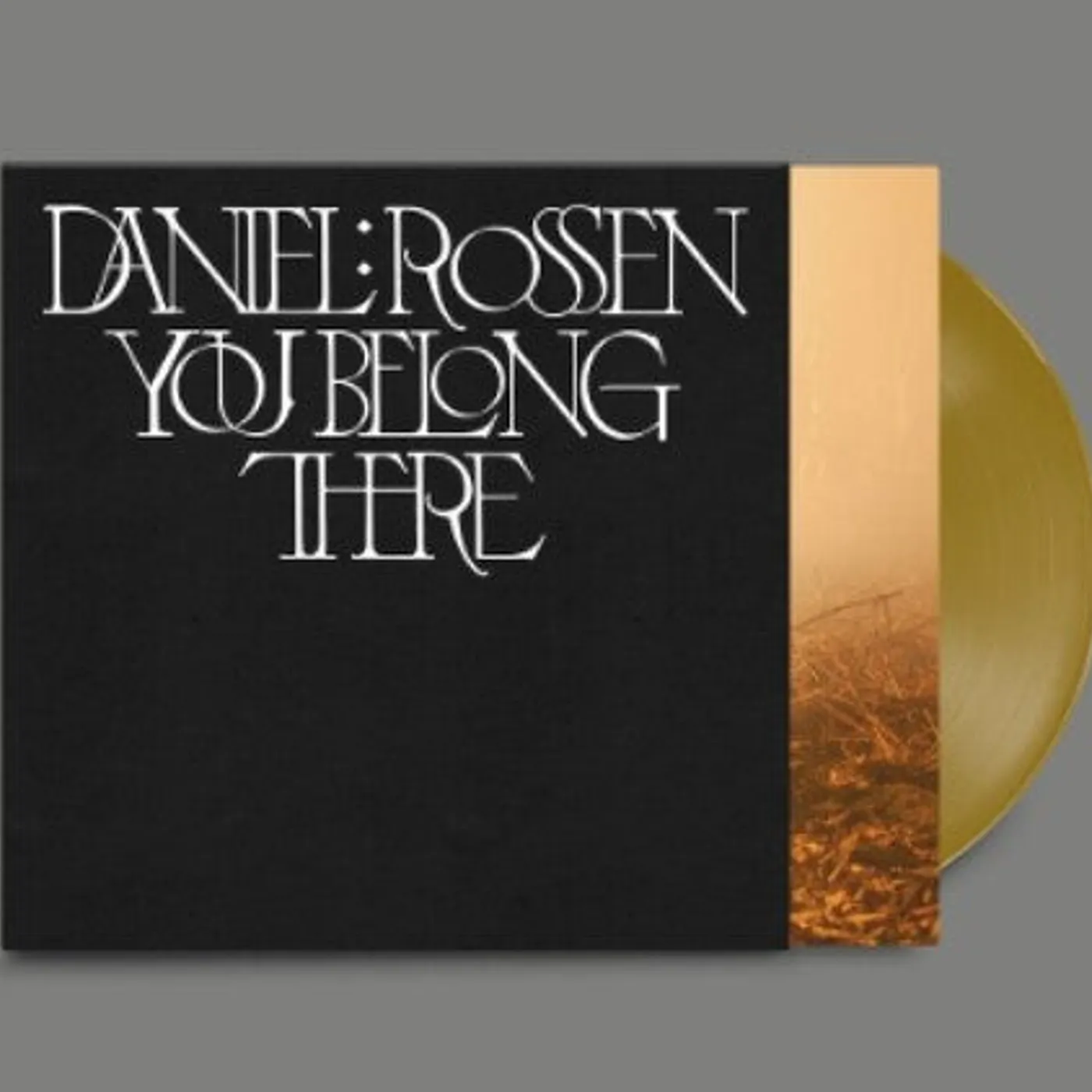 Daniel Rossen LP Vinyl - You Belong There (Coloured Vinyl) (Gol) (Dlcd)