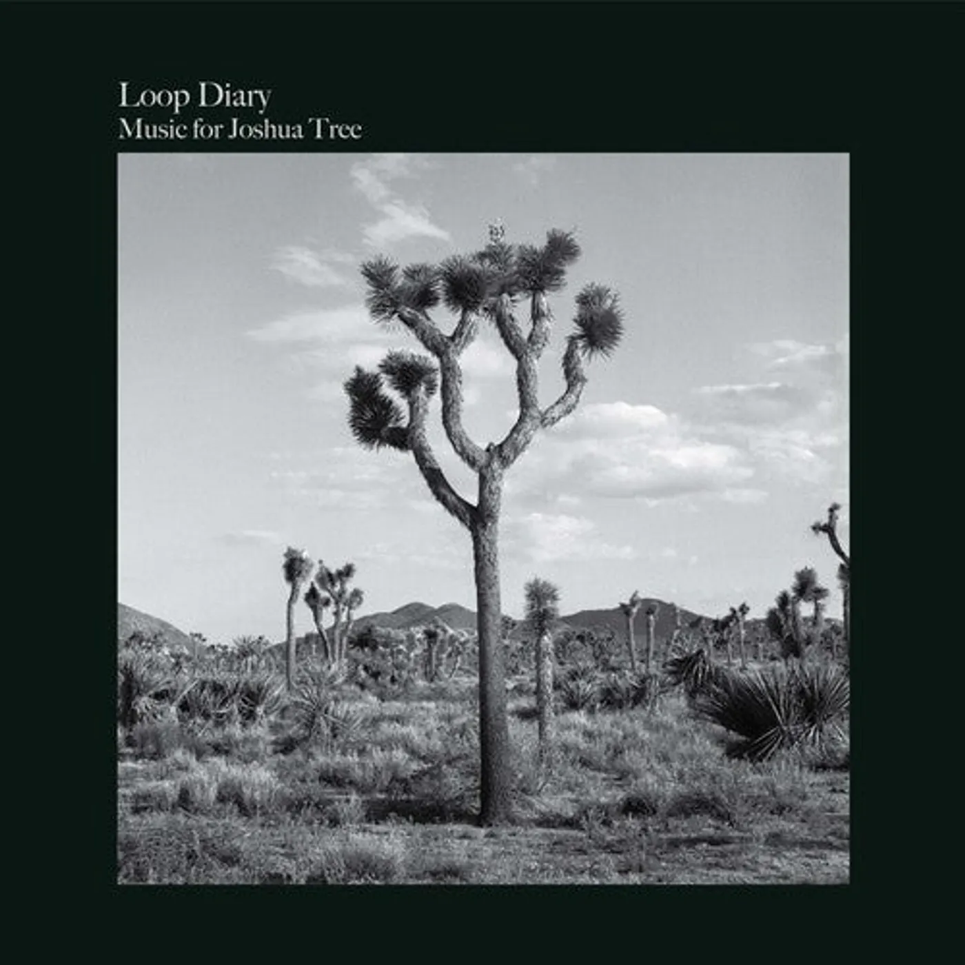 Loop Diary LP Vinyl - Music For Joshua Tree (Ltd)