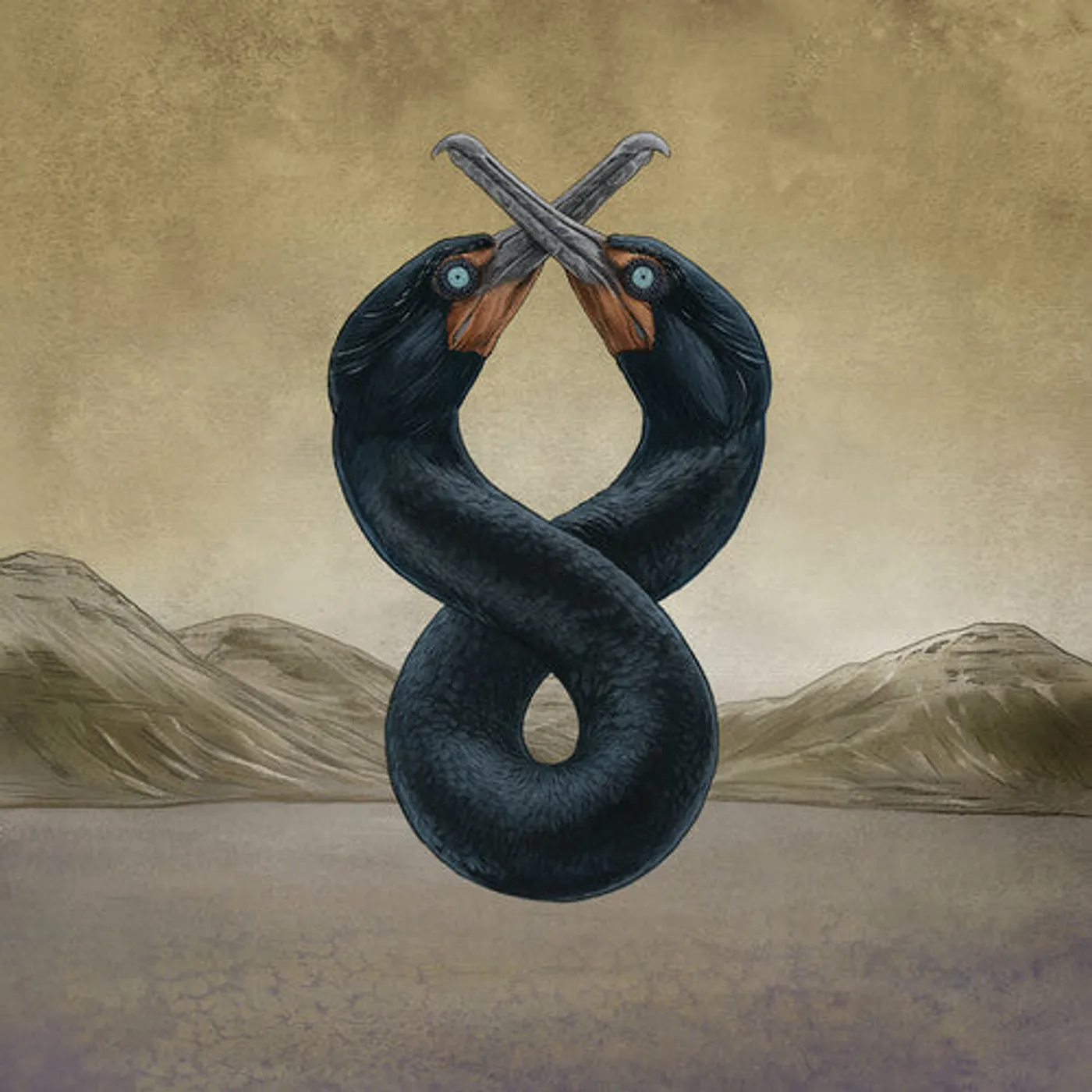 San Fermin LP Vinyl - Cormorant I & Ii (Gate Fold)