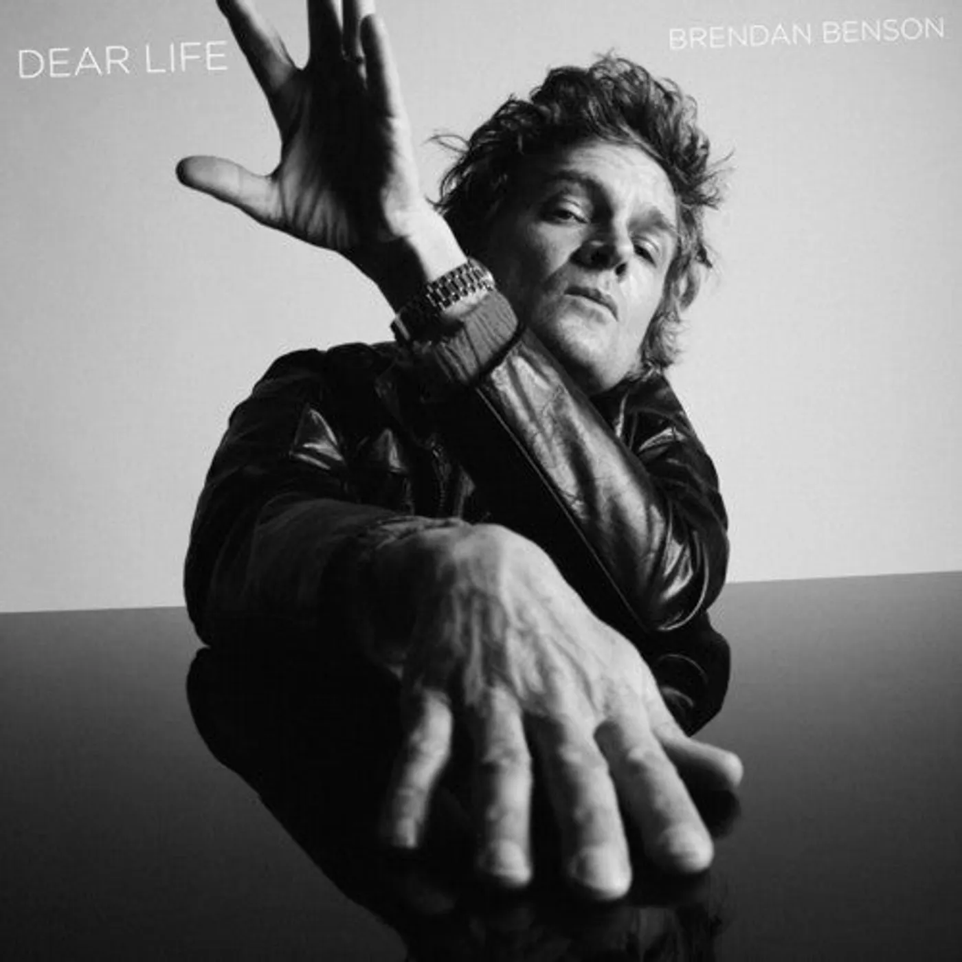Brendan Benson LP Vinyl - Dear Life