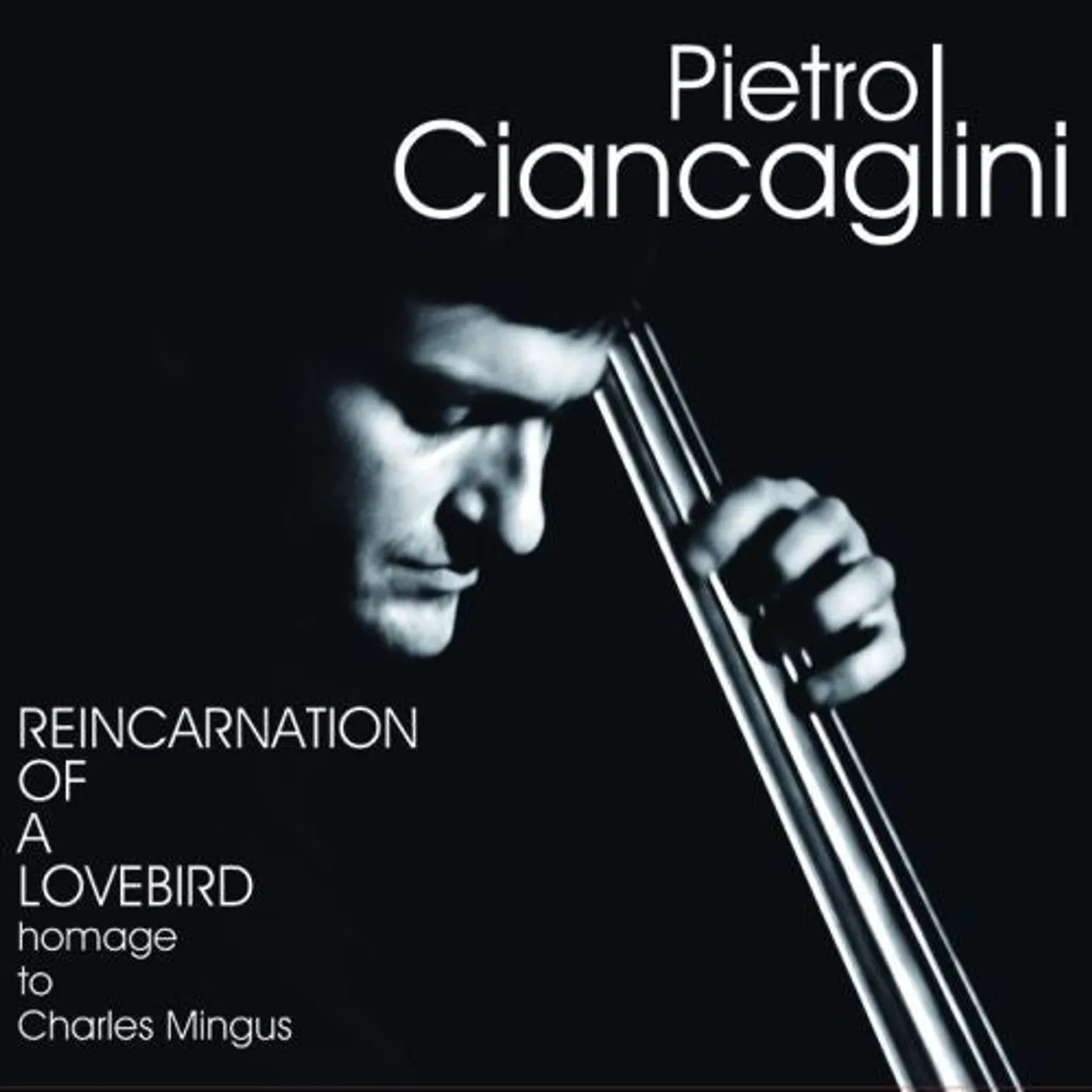 Pietro Ciancaglini LP Vinyl - Reincarnation Of A Lovebird