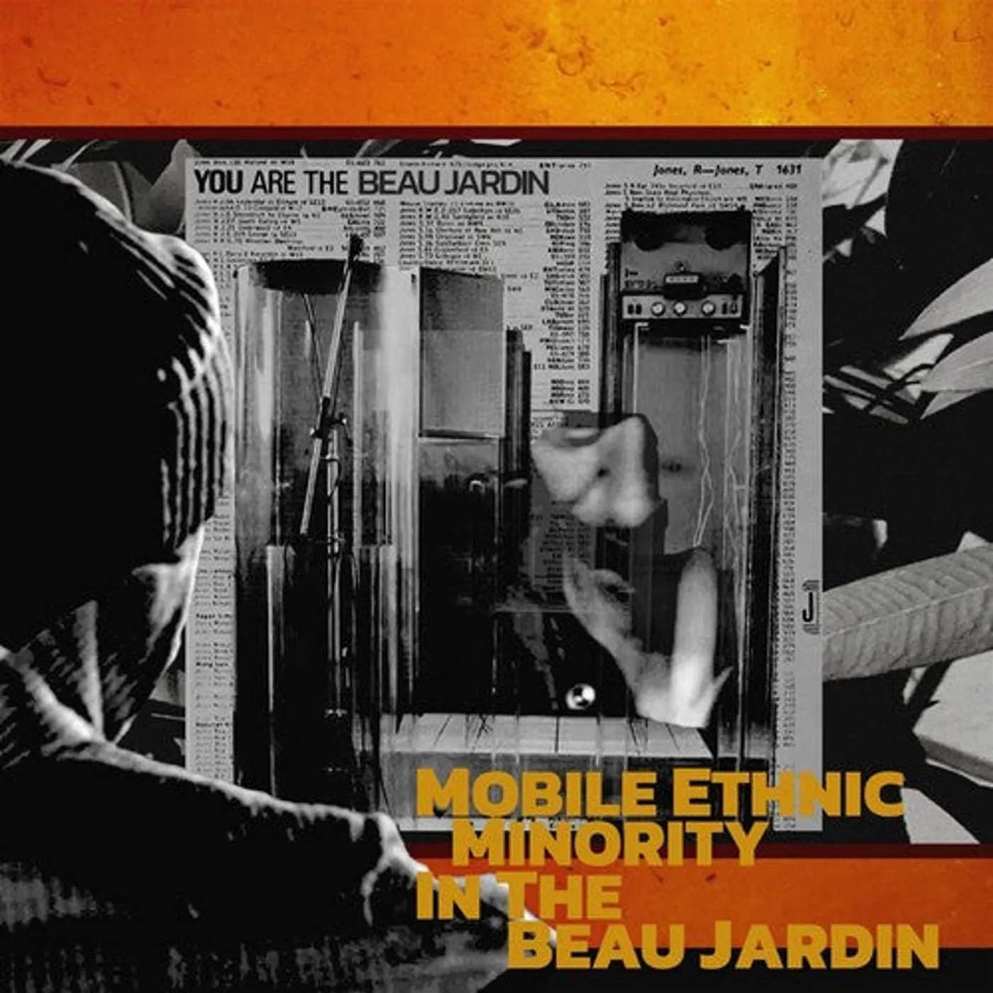 Mobile Ethnic Minority LP Vinyl - In The Beau Jardin
