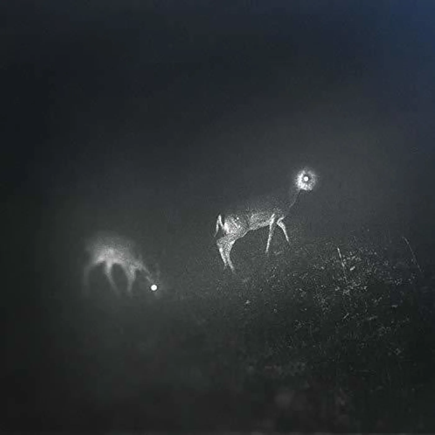 Bliss Signal LP Vinyl - Bliss Signal (Ltd)