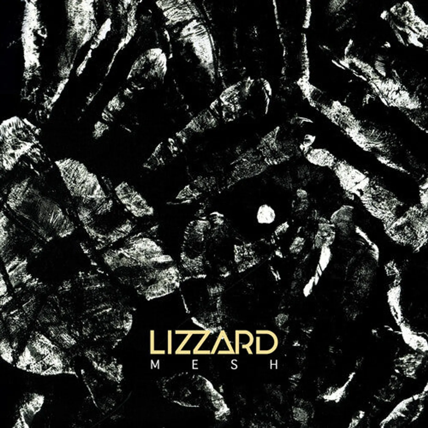 Lizzard LP Vinyl - Mesh
