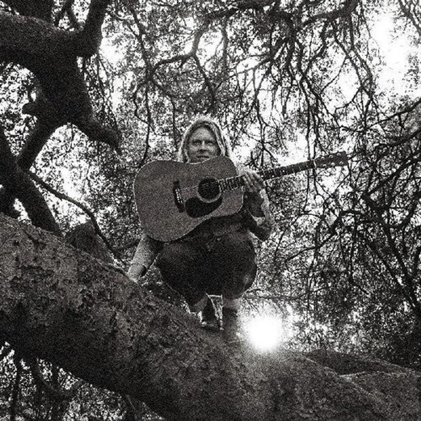 Ty Segall LP Vinyl - Hello Hi