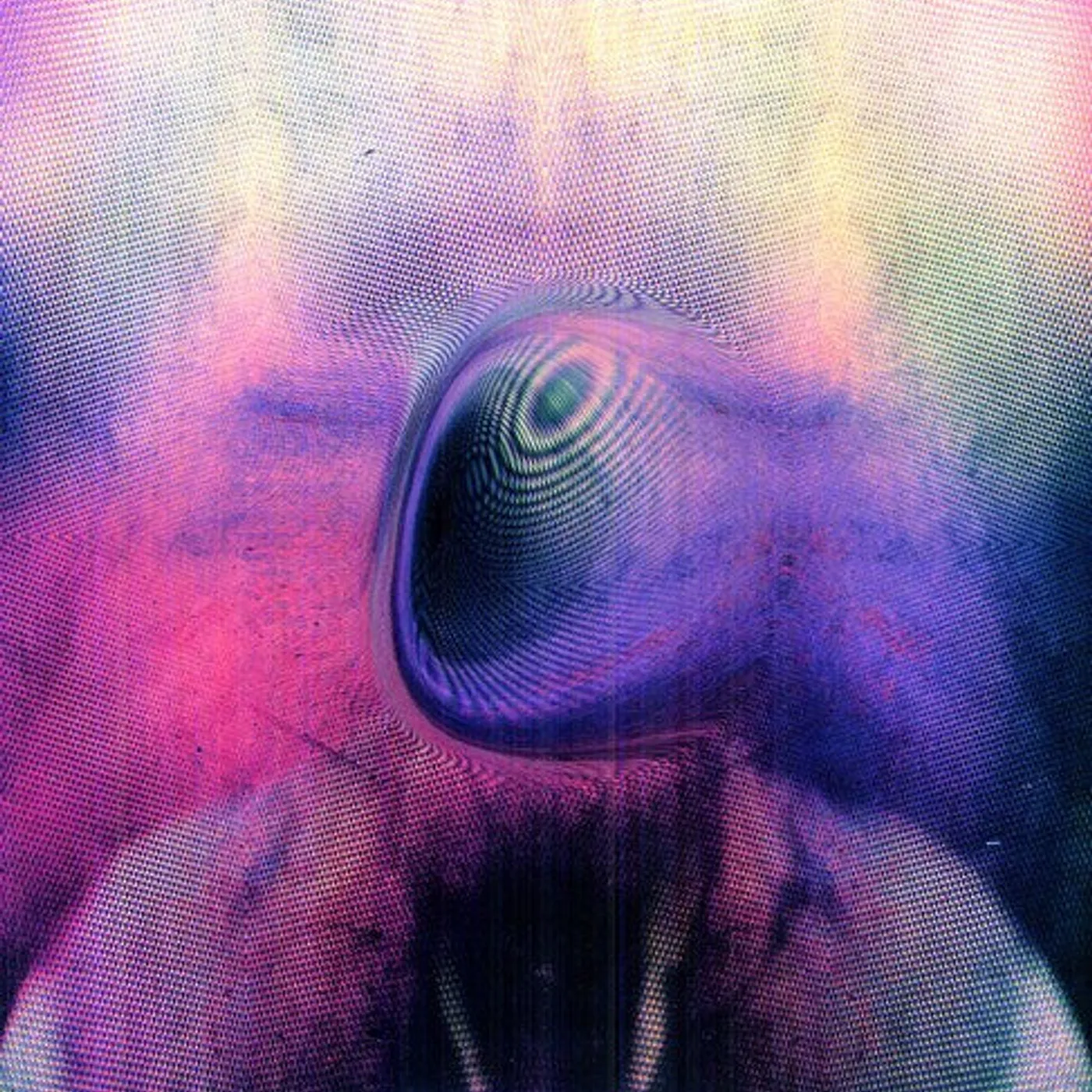 Young Magic LP Vinyl - Melt