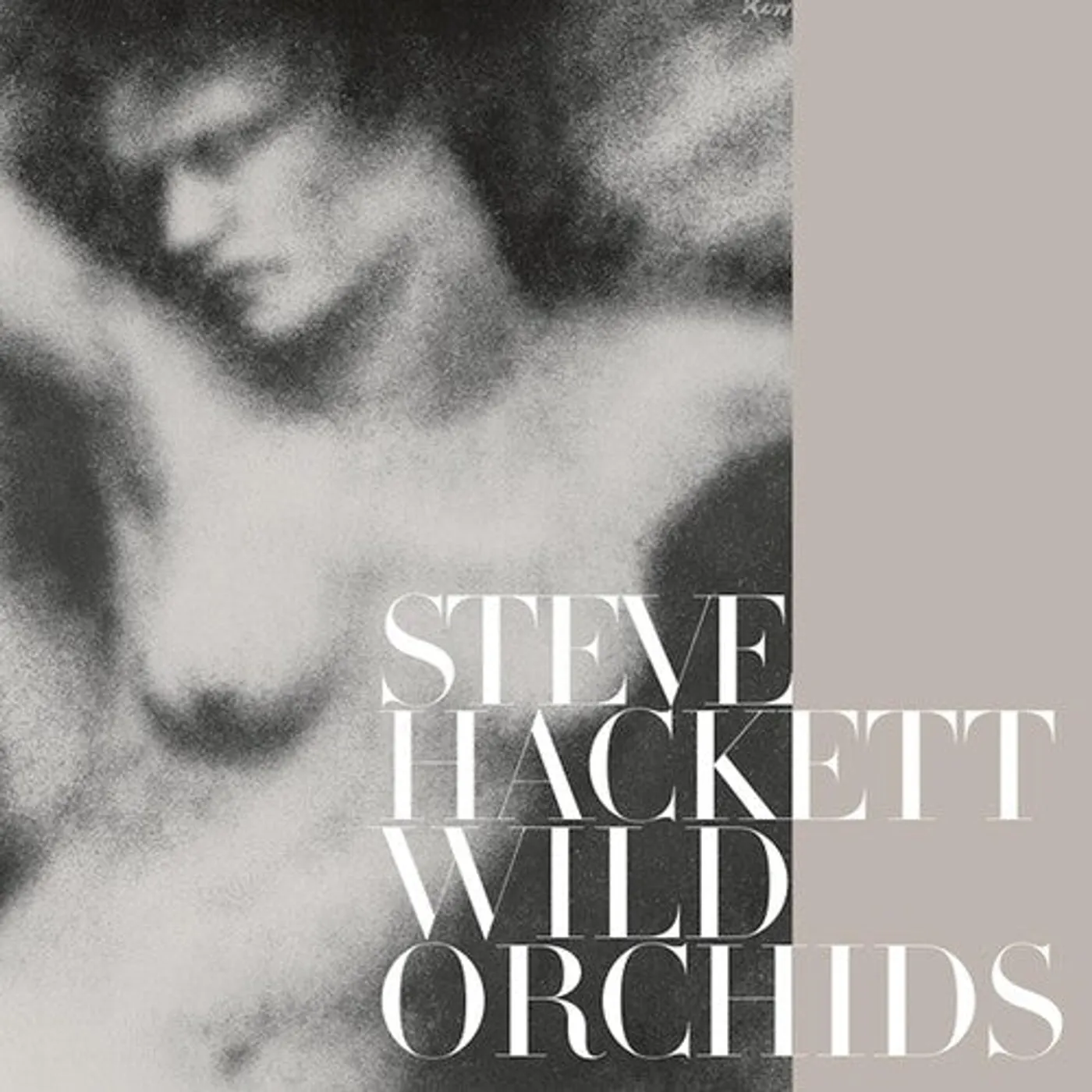 Steve Hackett LP Vinyl - Wild Orchids (Gate Fold) (Reis)